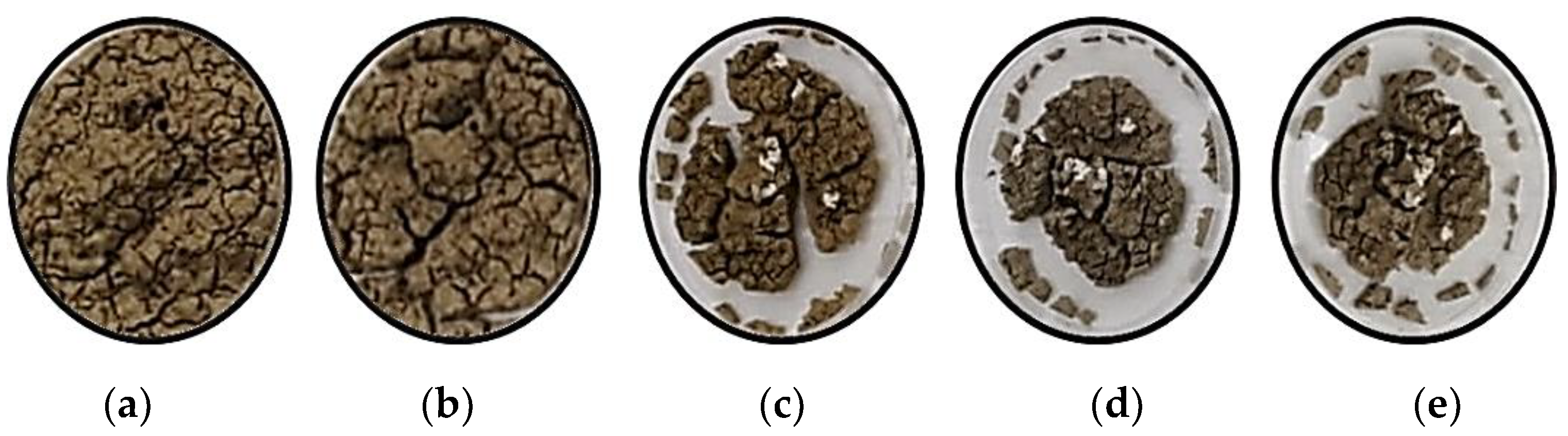 Polymers 13 01335 g009
