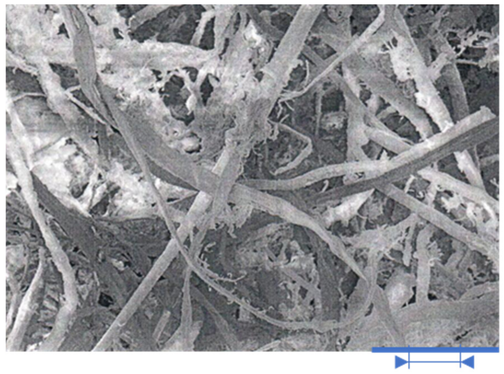 Polymers 13 01344 g001 Polymers 13 01344 g001