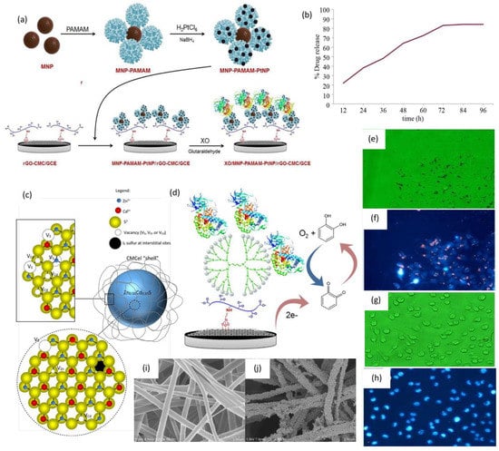 Polymers 13 01345 g007