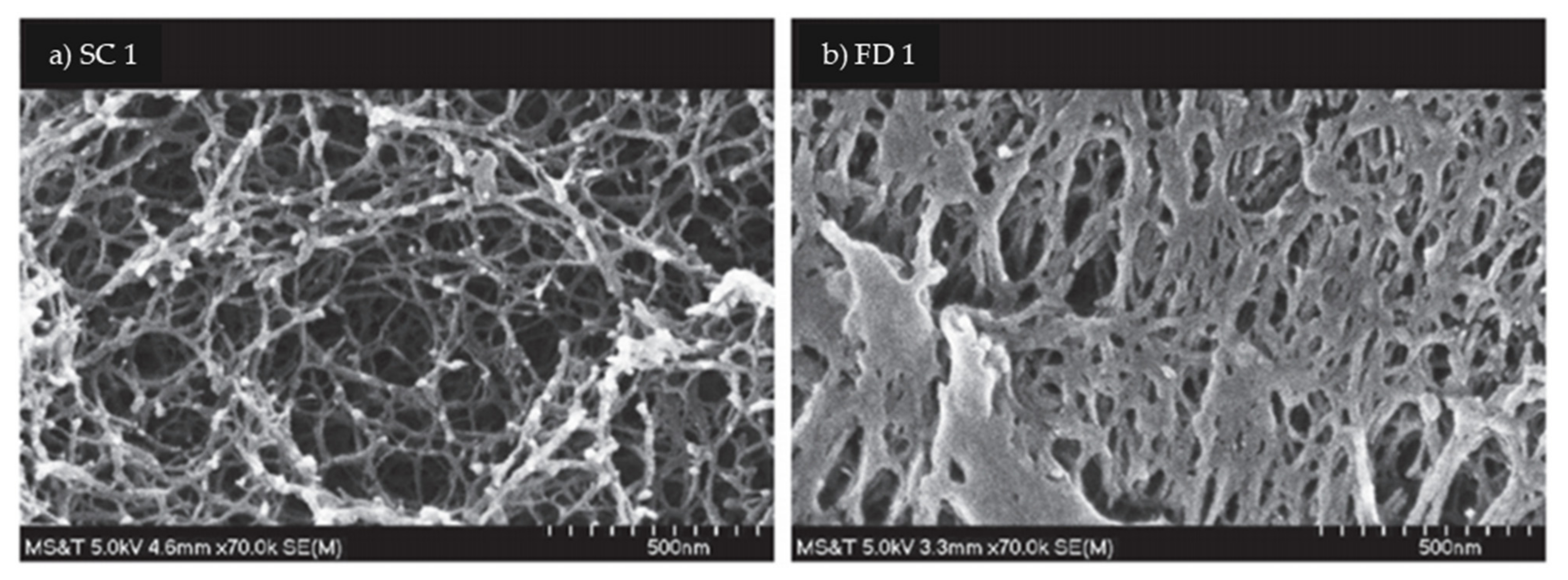 Polymers 13 01347 g008 Polymers 13 01347 g008