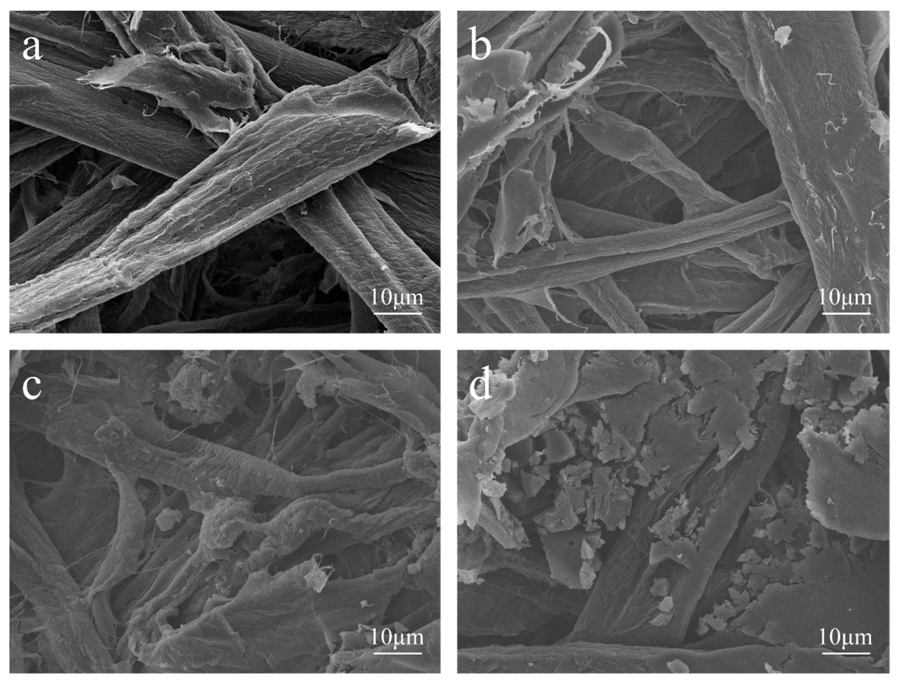 Polymers 13 01349 g006a