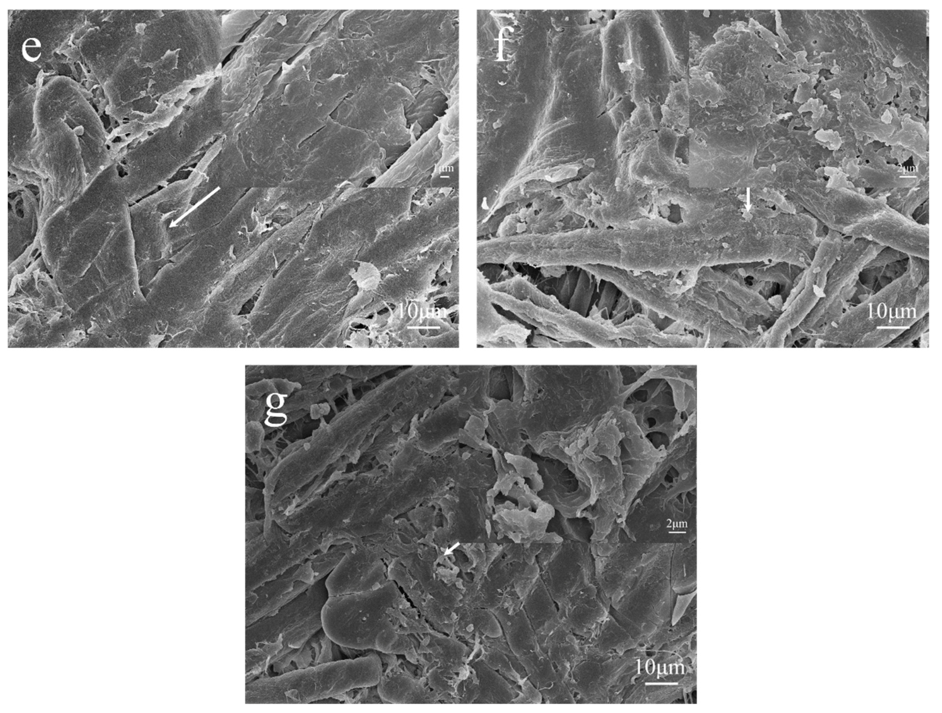 Polymers 13 01349 g006b