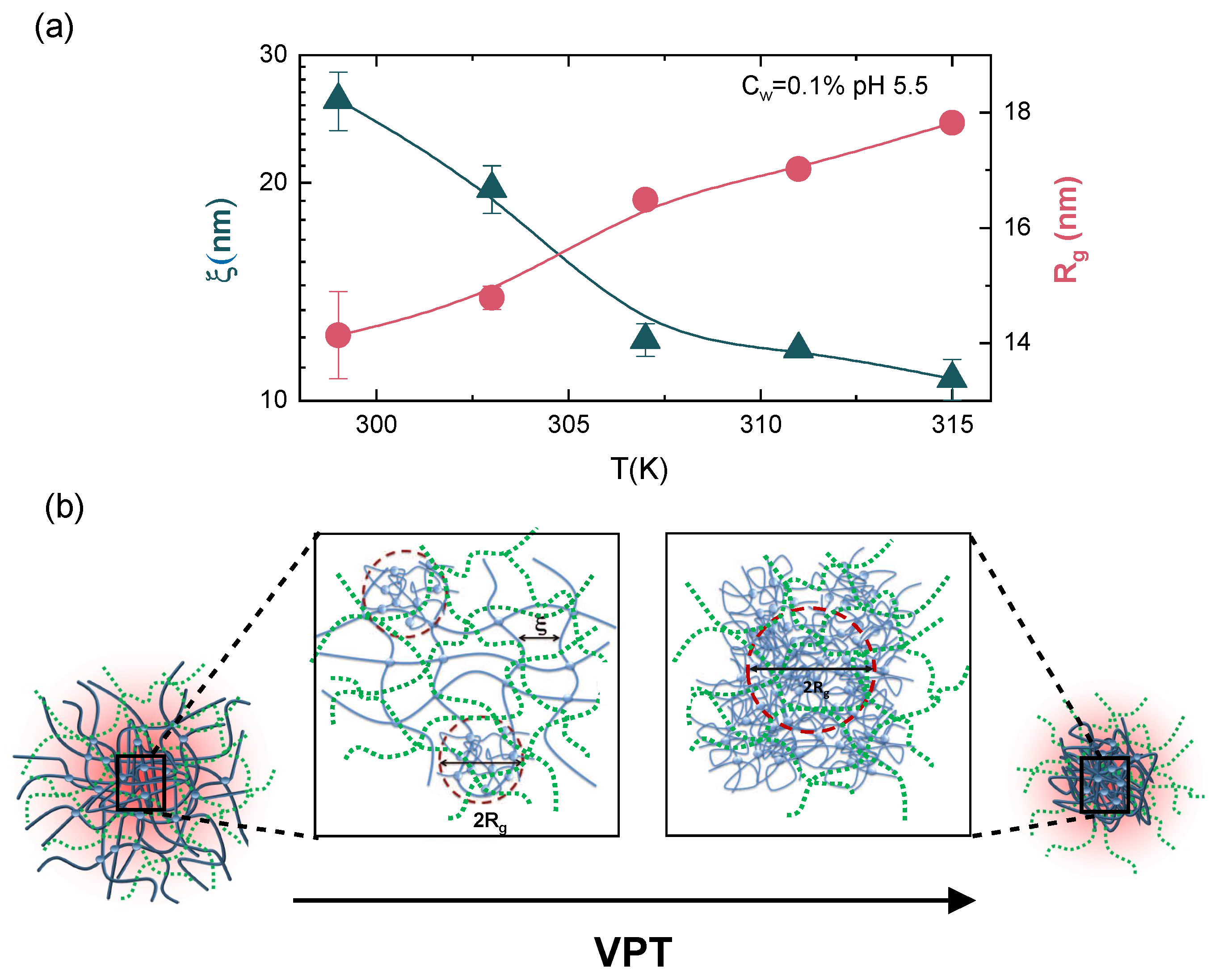 Polymers 13 01353 g011 Polymers 13 01353 g011