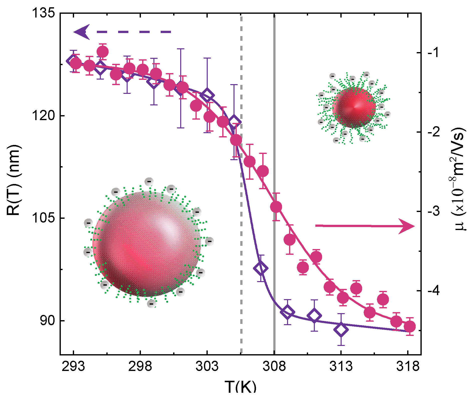 Polymers 13 01353 g013 Polymers 13 01353 g013