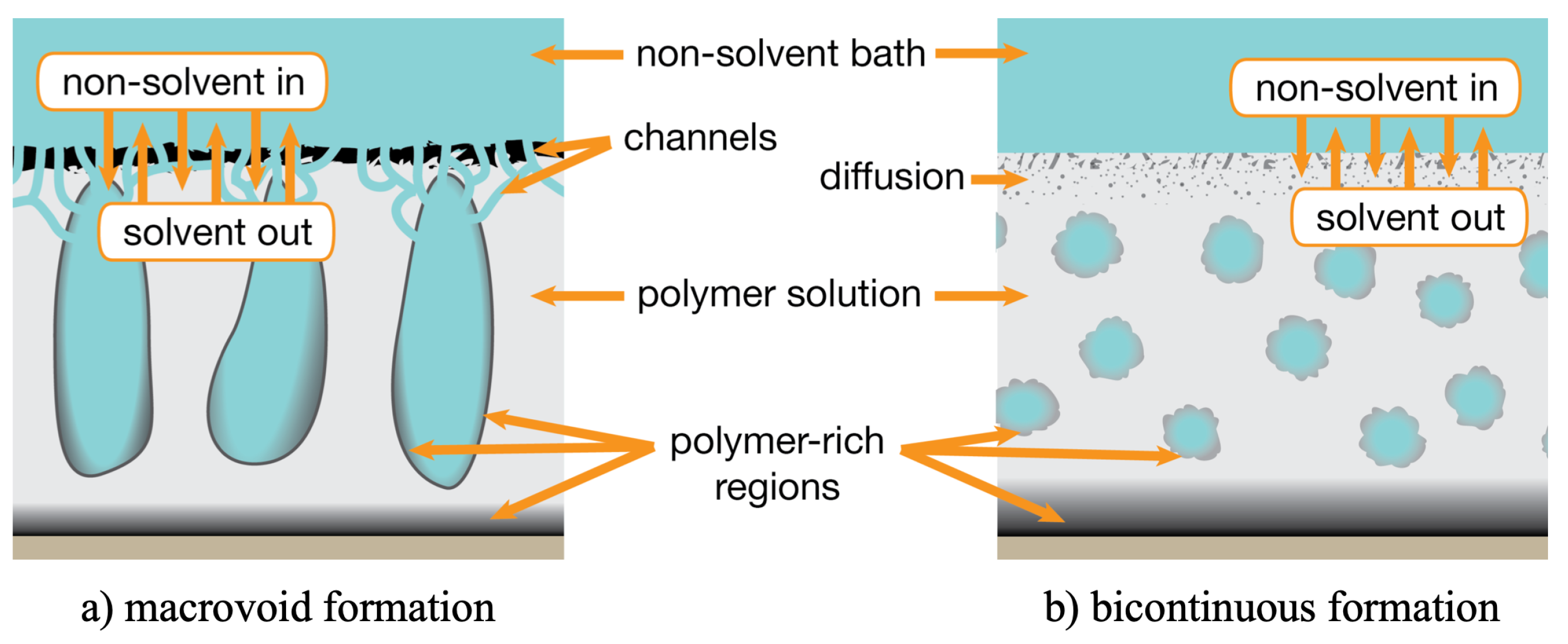 Polymers 13 01354 g006