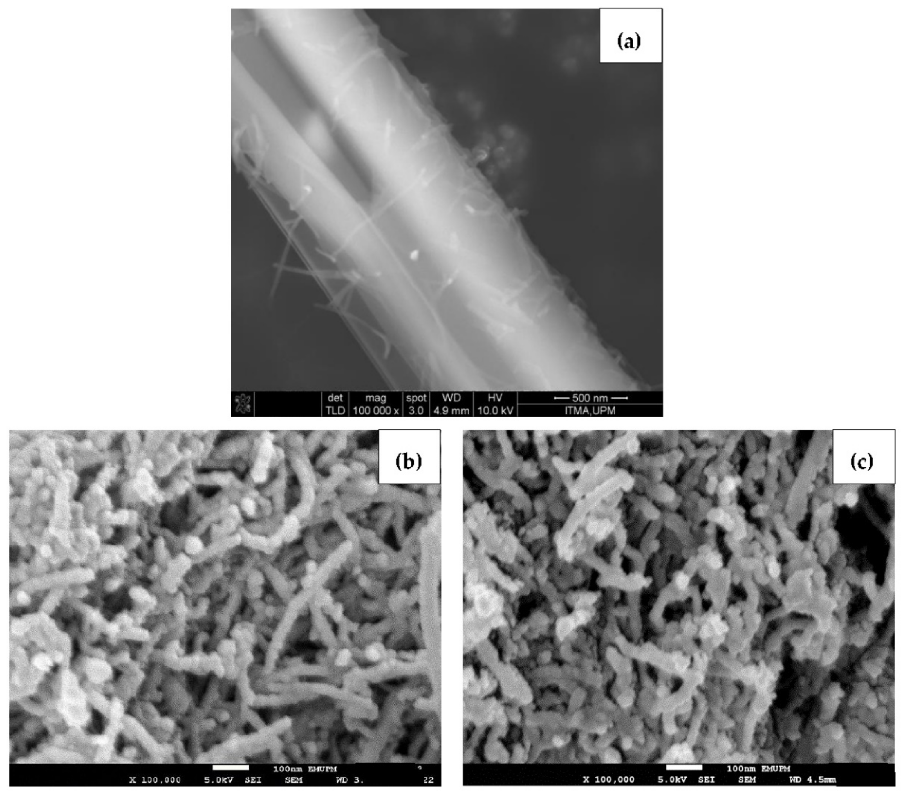 Polymers 13 01362 g004
