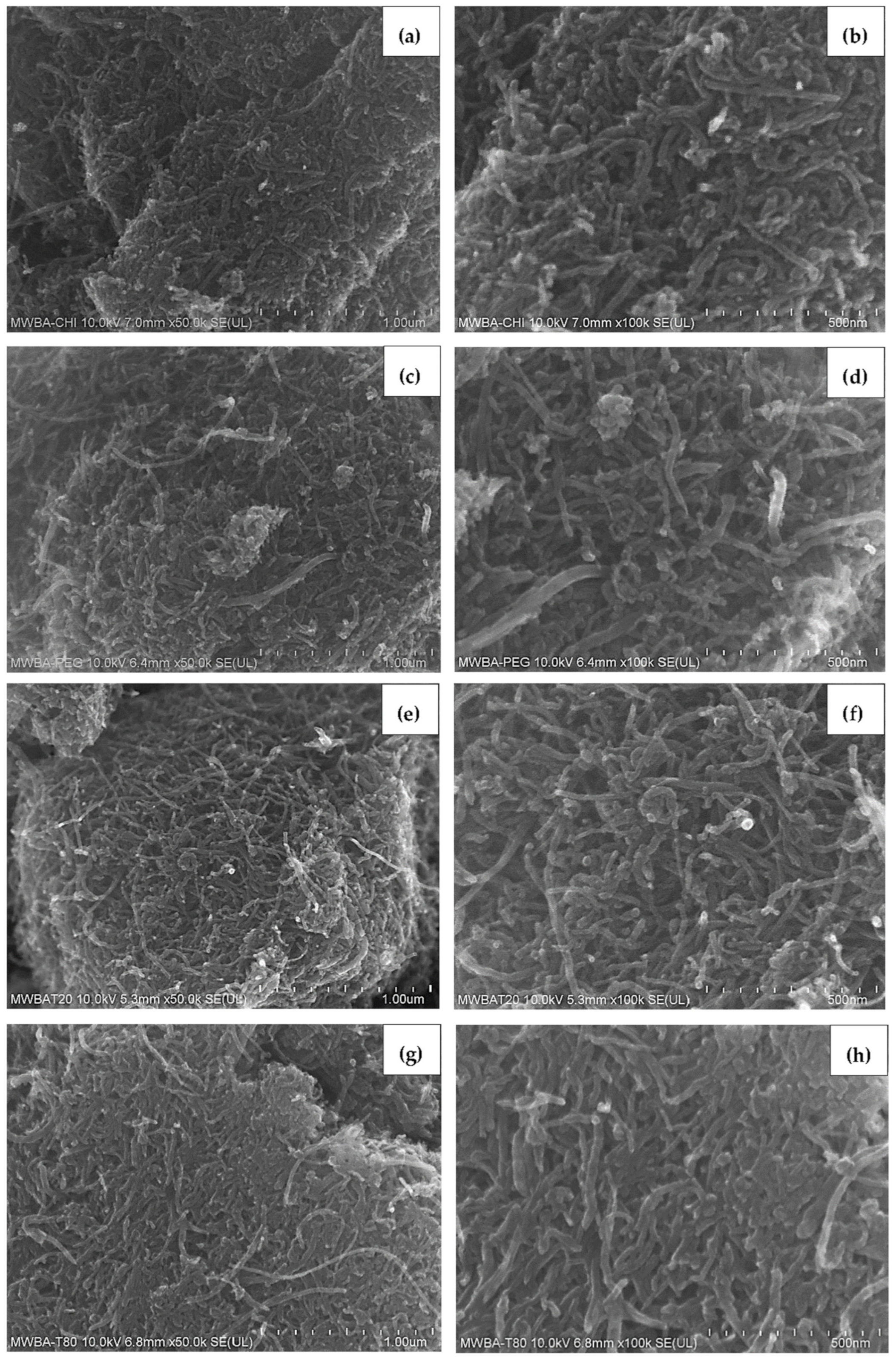 Polymers 13 01362 g005