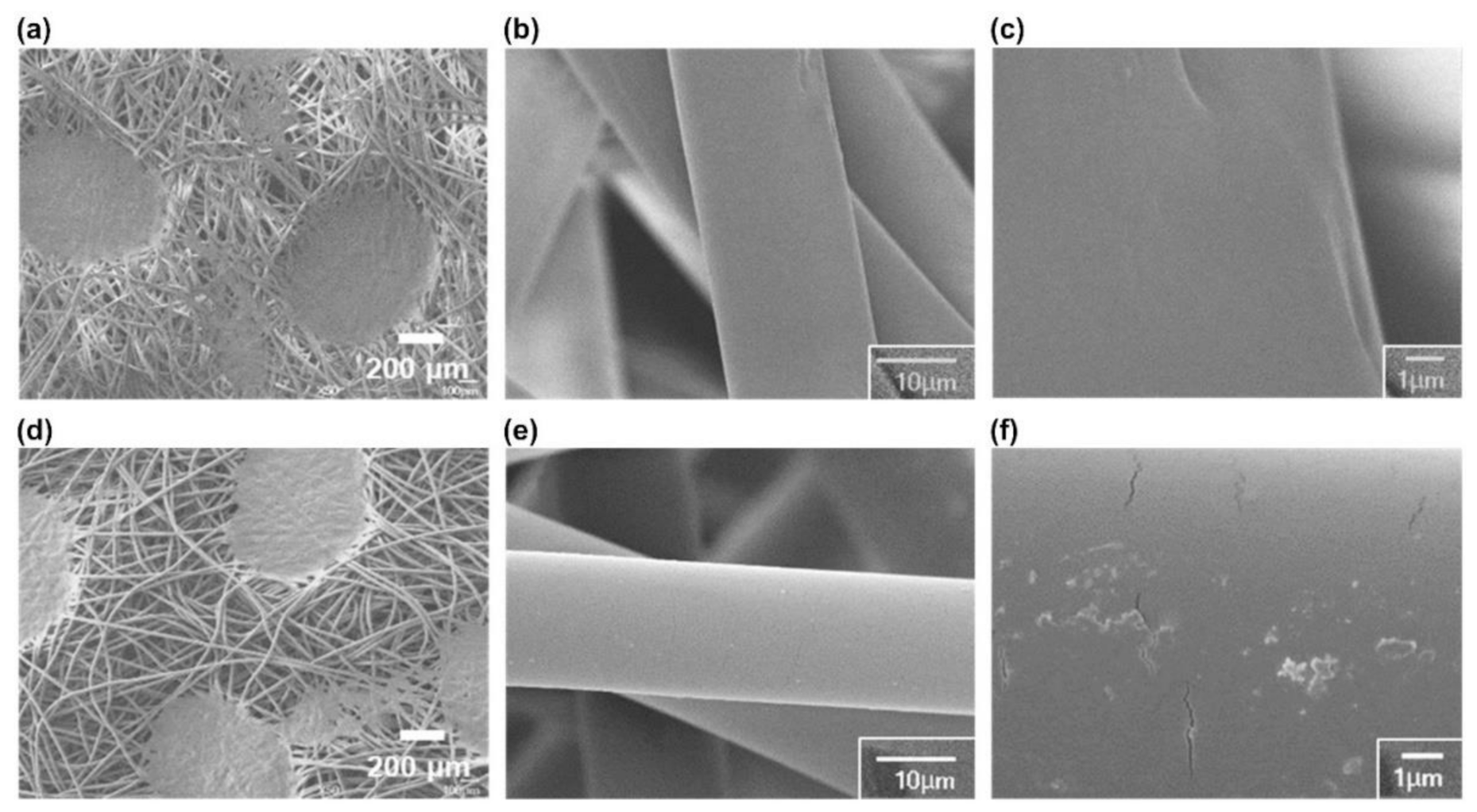 Polymers 13 01367 g002