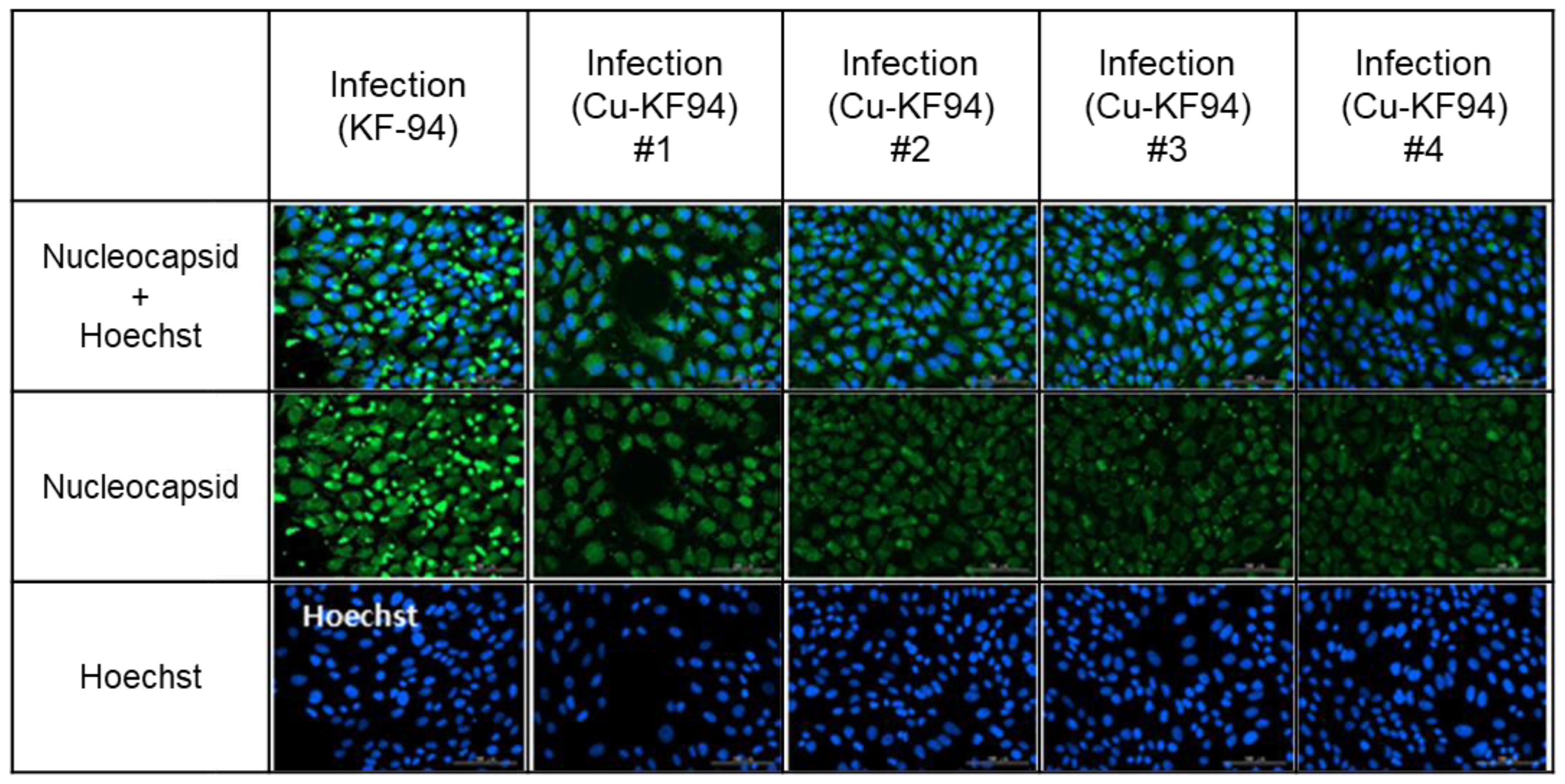 Polymers 13 01367 g005