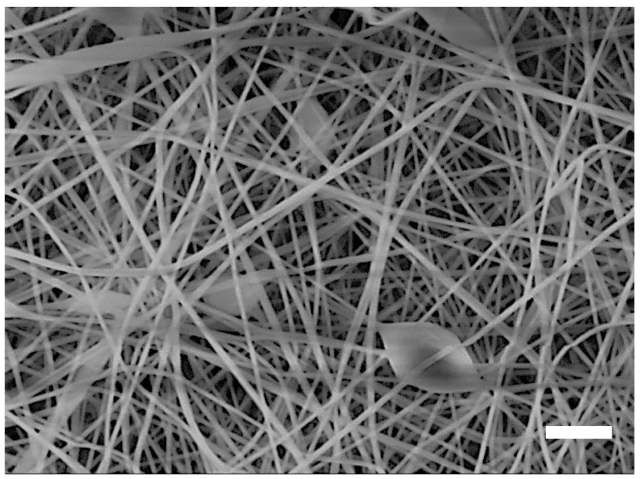 Polymers 13 01368 g003 Polymers 13 01368 g003