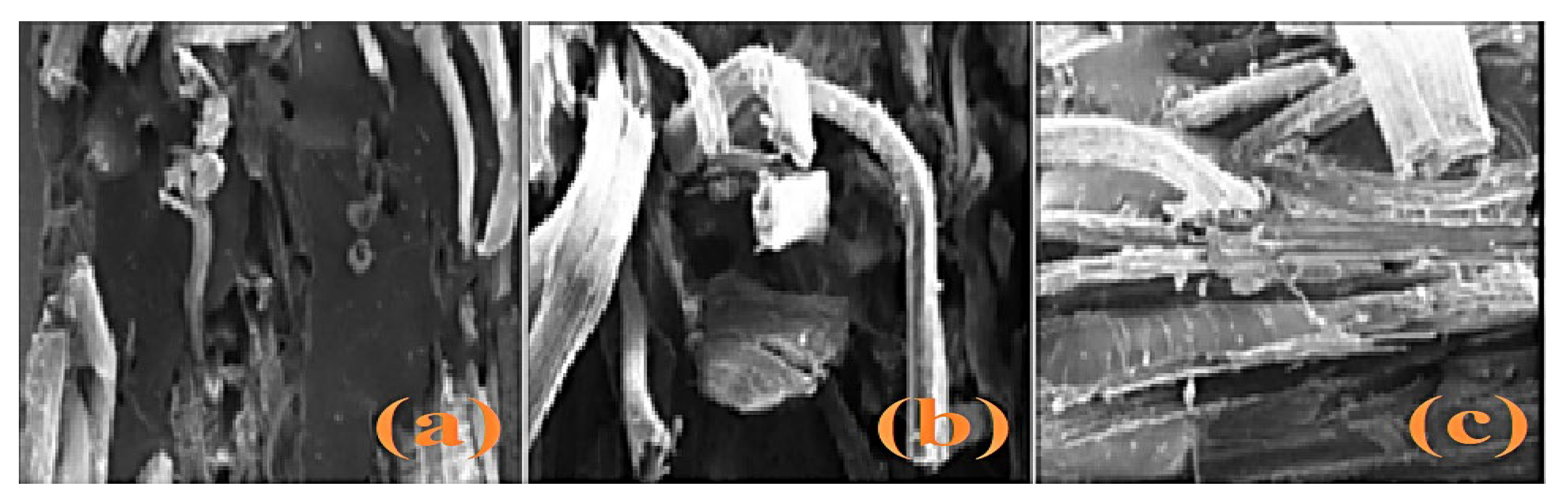 Polymers 13 01369 g017