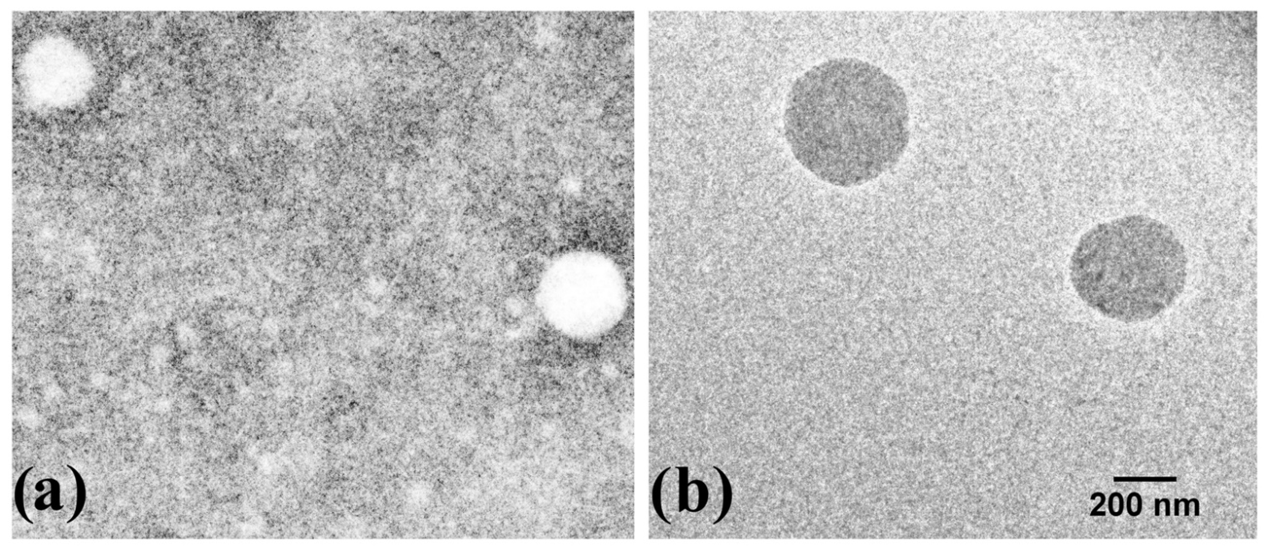 Polymers 13 01375 g002
