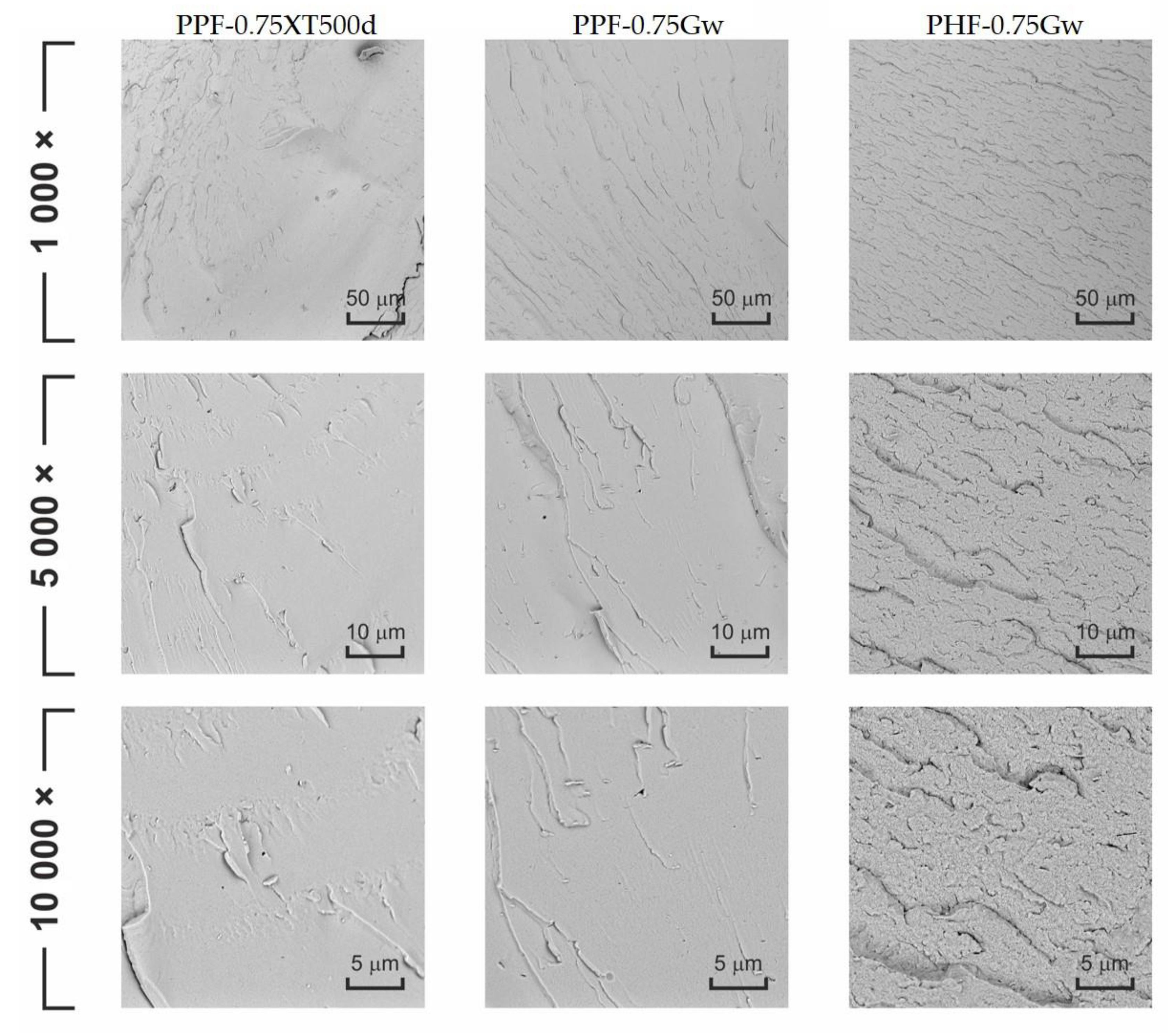 Polymers 13 01377 g011