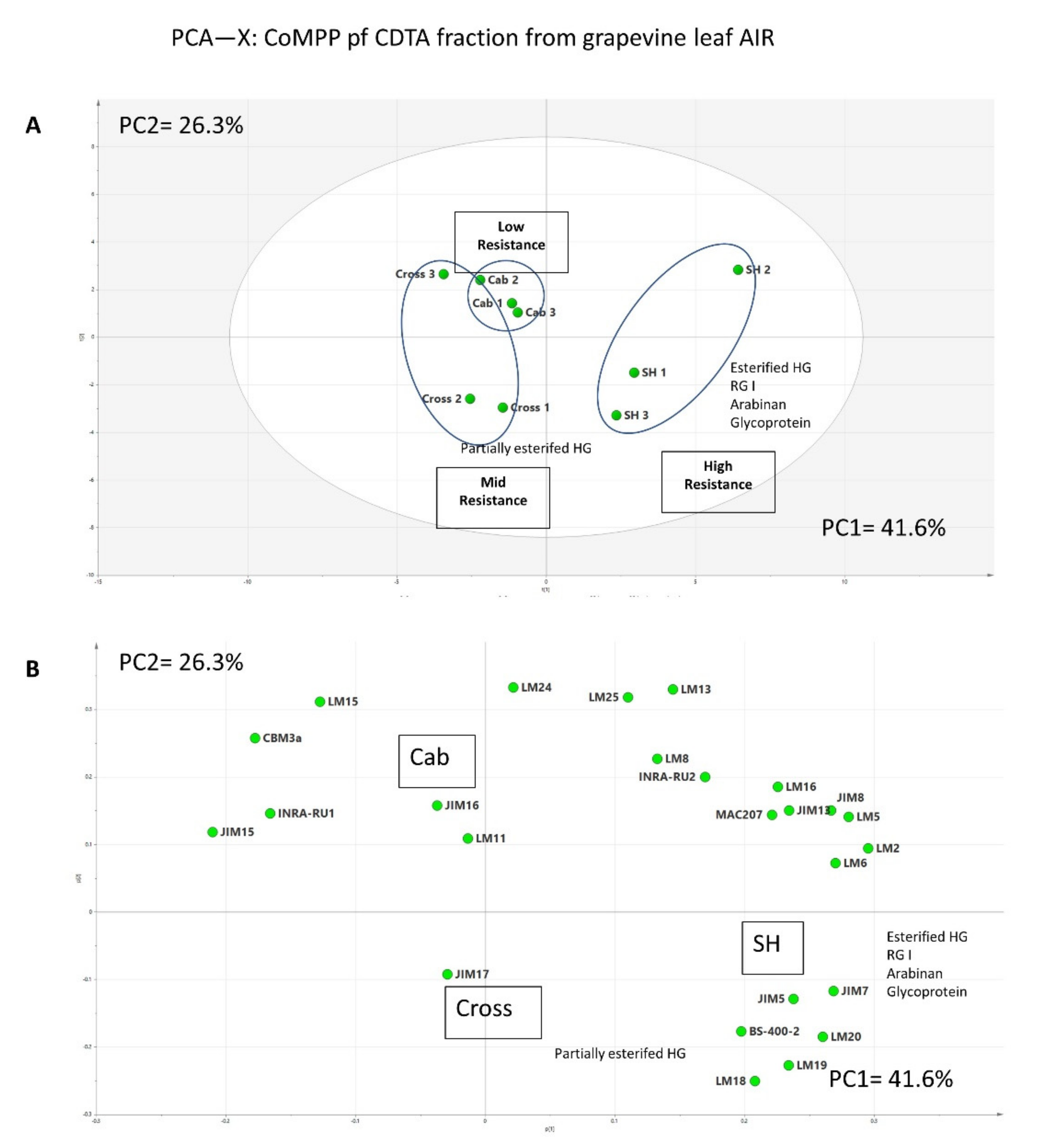 Polymers 13 01379 g003