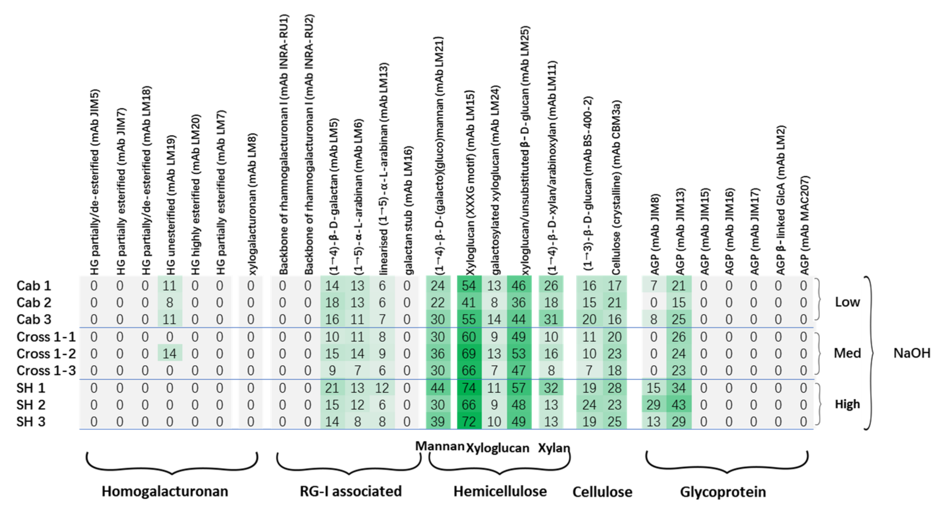 Polymers 13 01379 g004