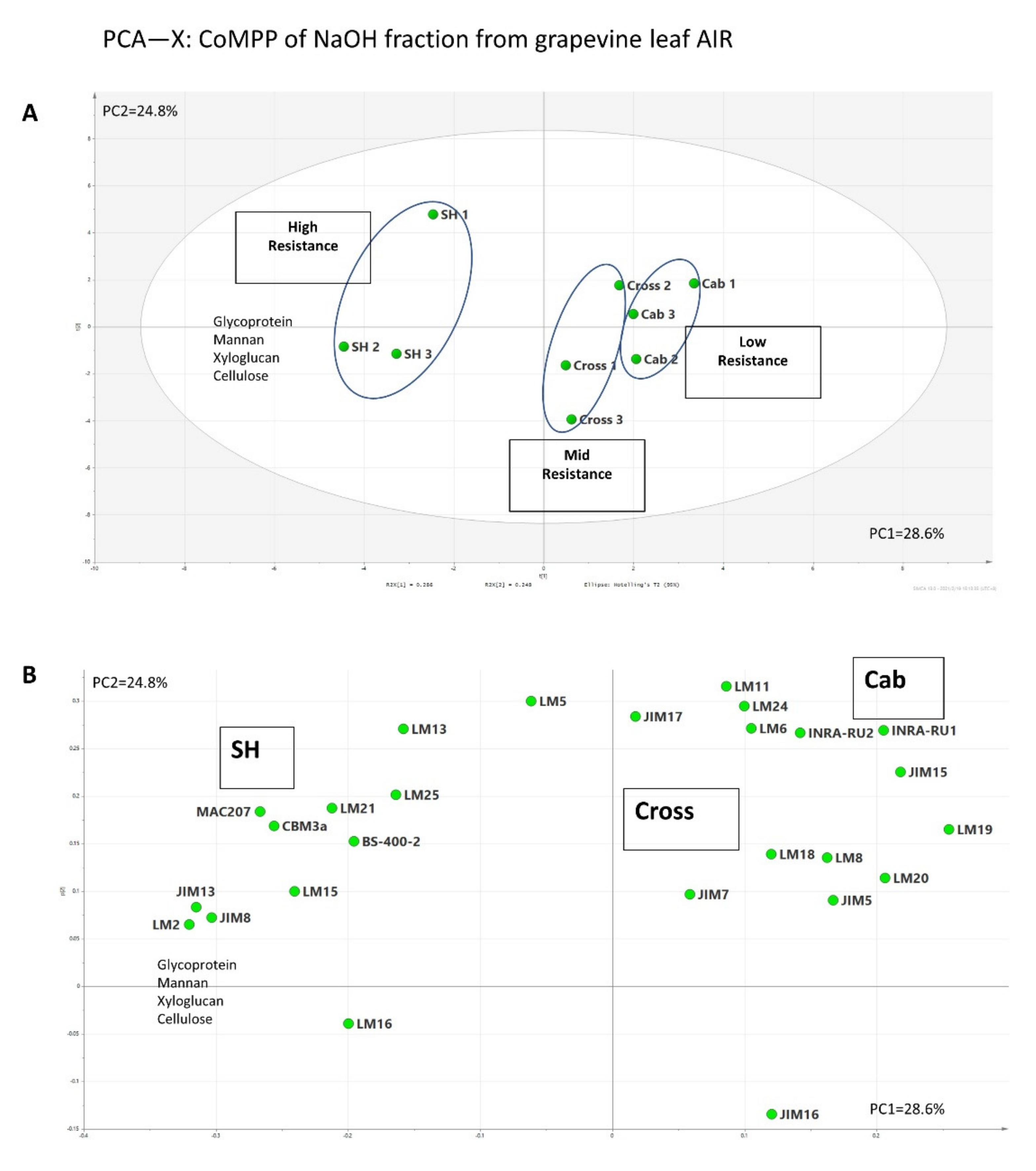 Polymers 13 01379 g005