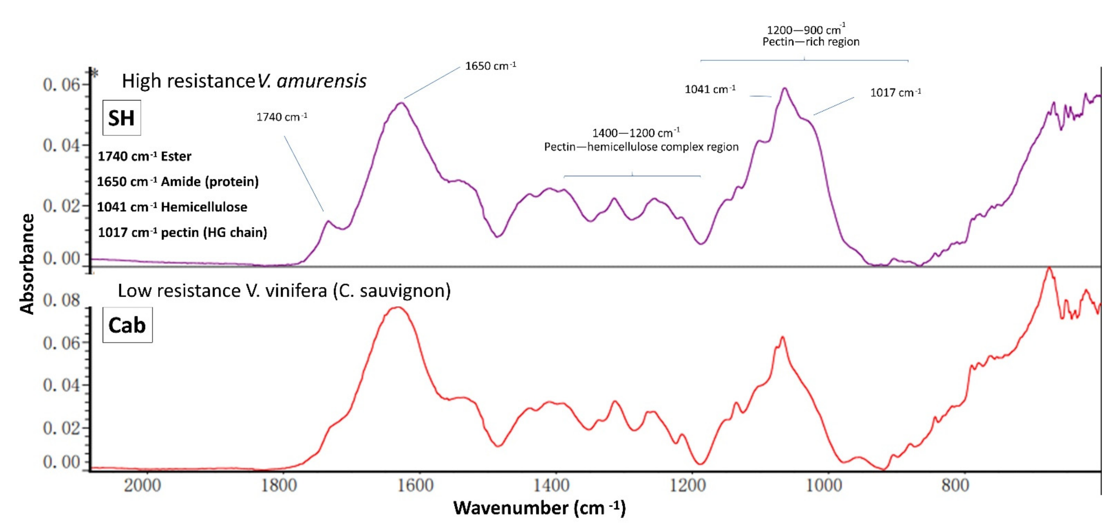 Polymers 13 01379 g007