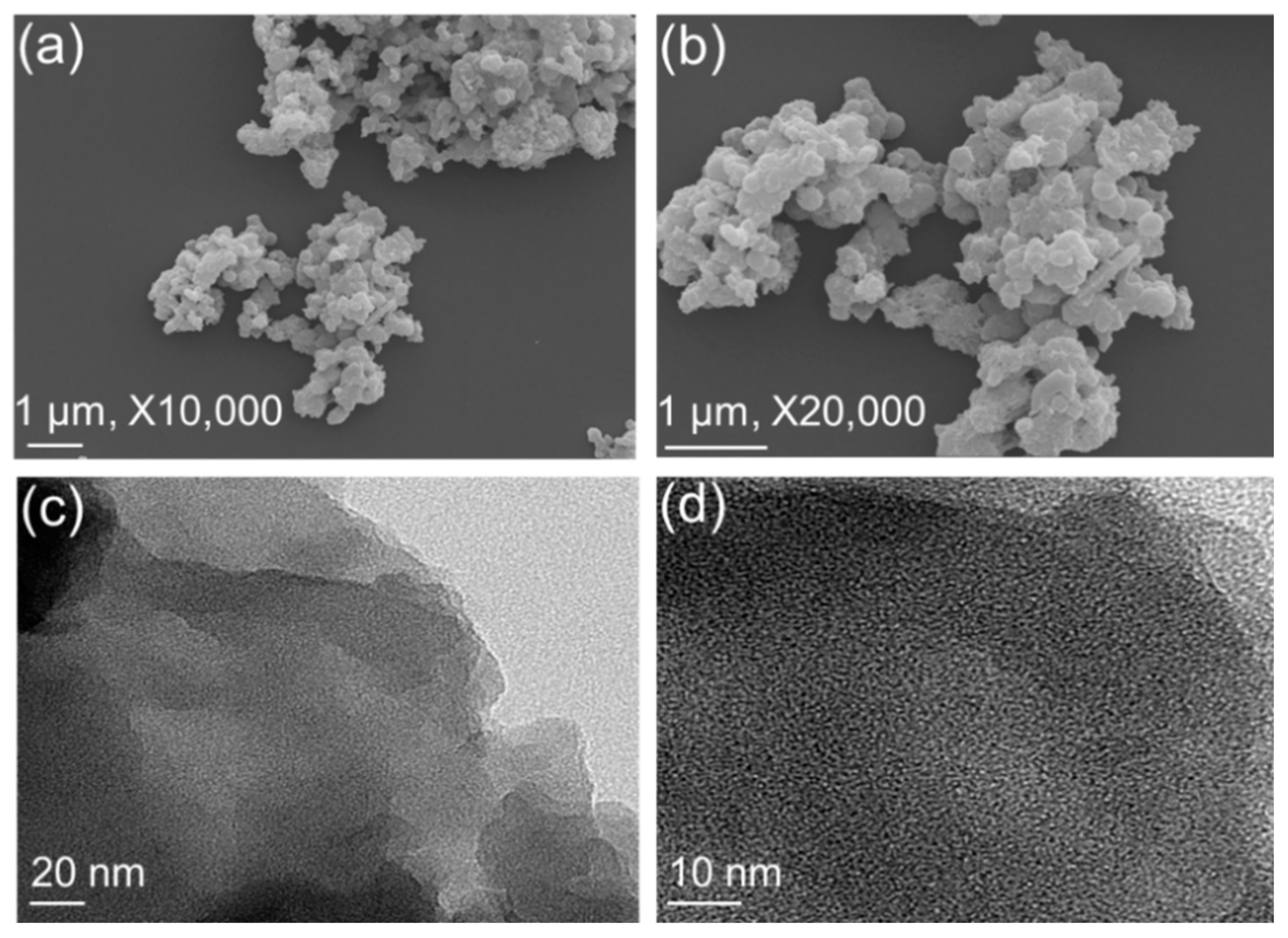 Polymers 13 01385 g004 Polymers 13 01385 g004