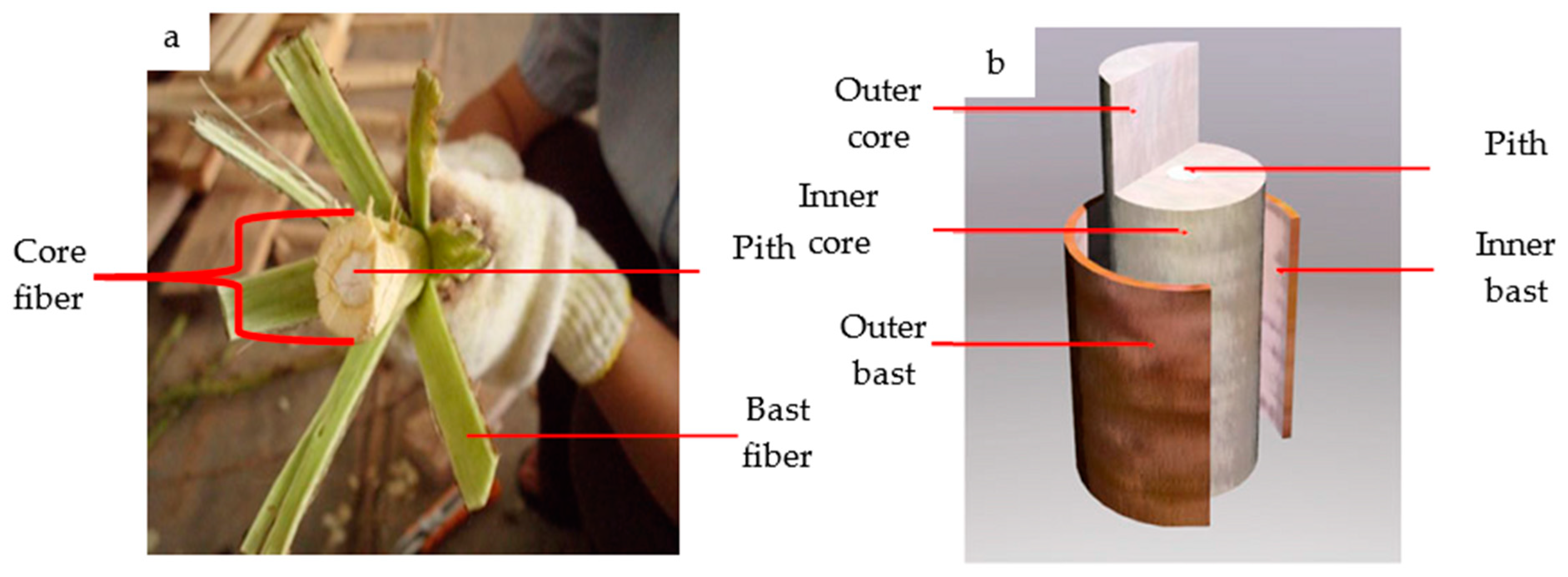 Polymers 13 01390 g001