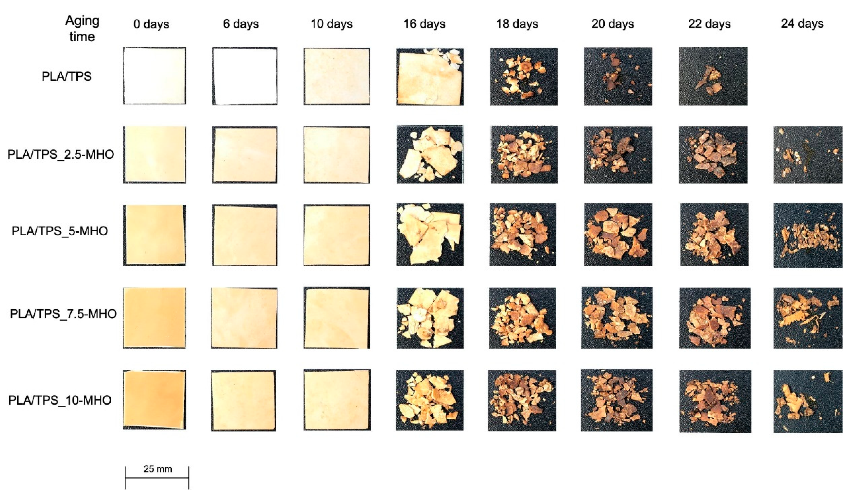 Polymers 13 01392 g007