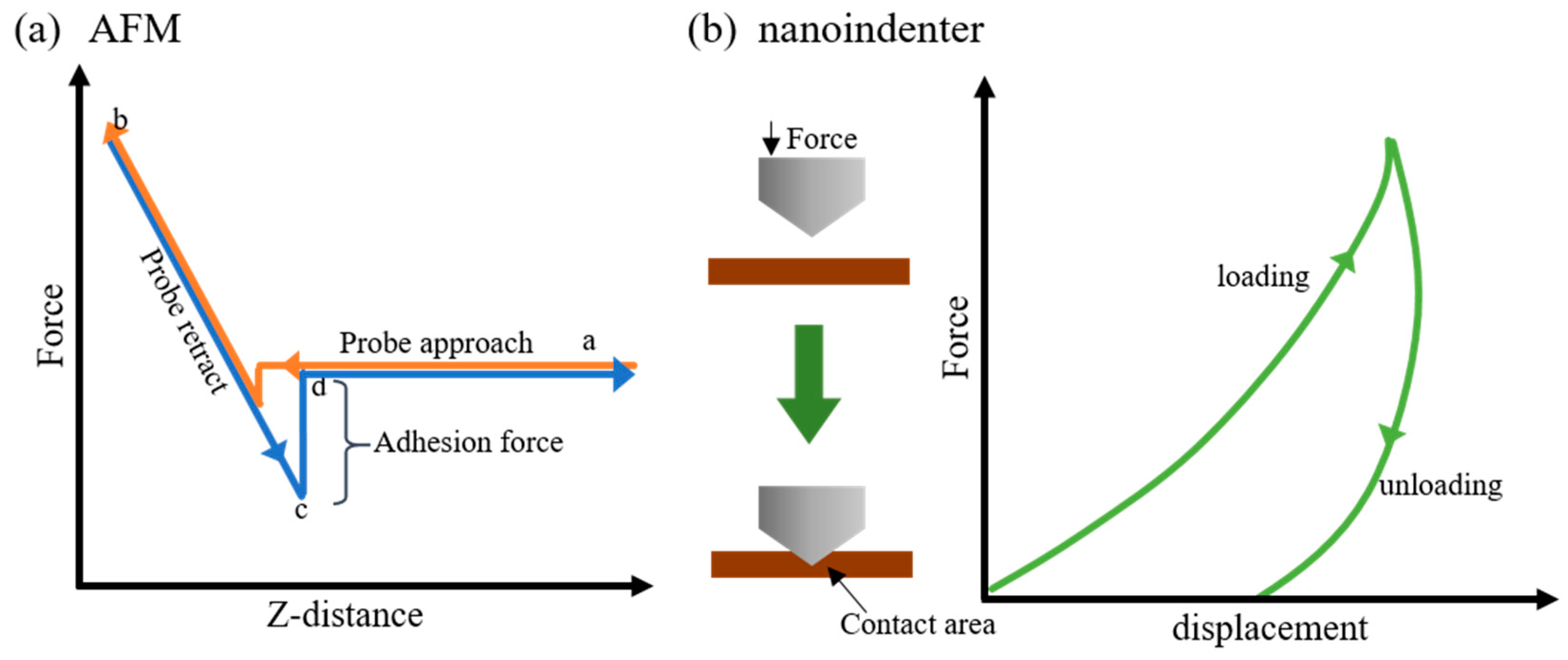 Polymers 13 01395 g001