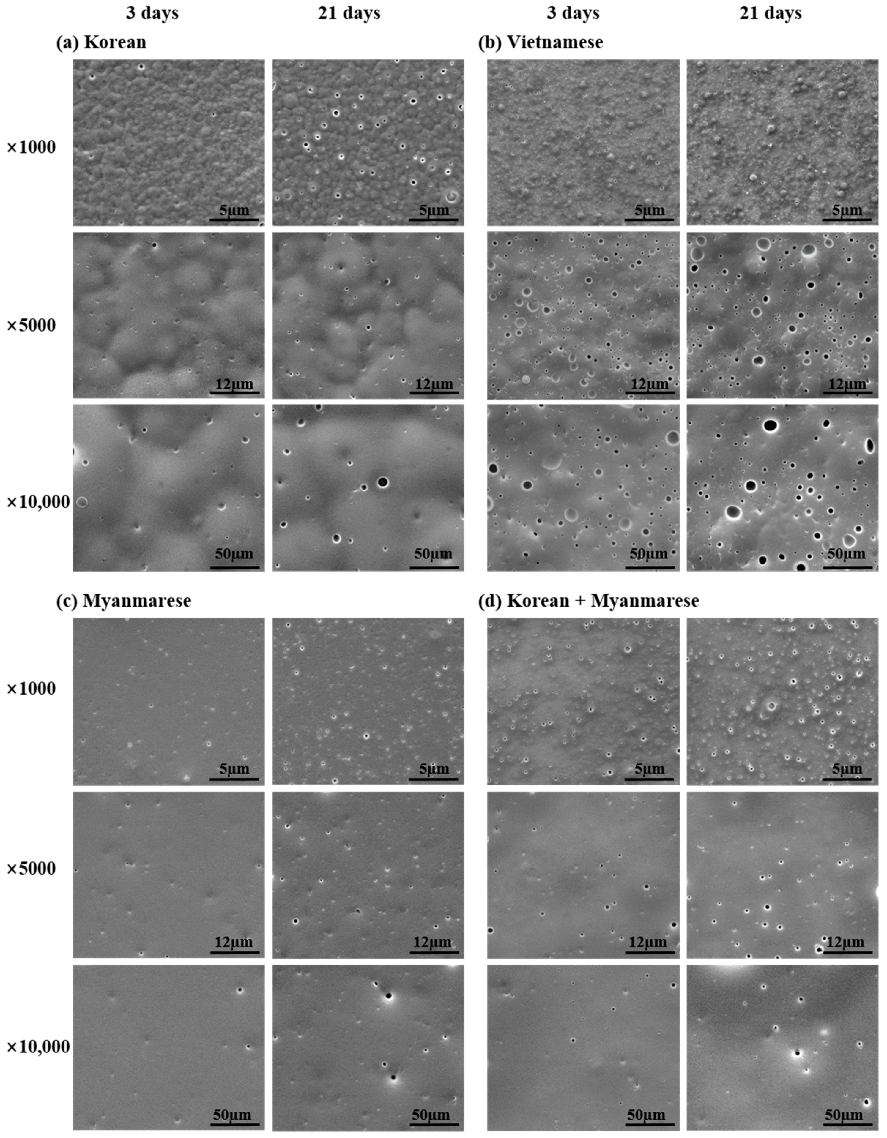 Polymers 13 01395 g002