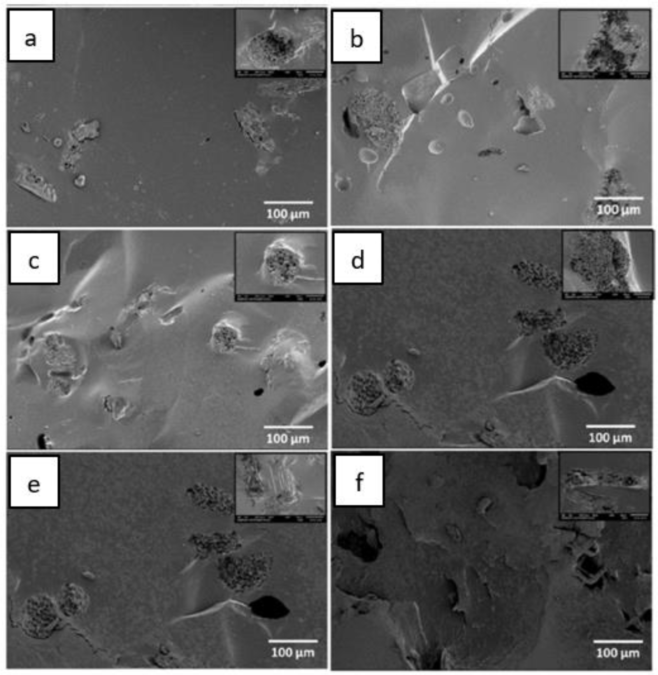 Polymers 13 01396 g004
