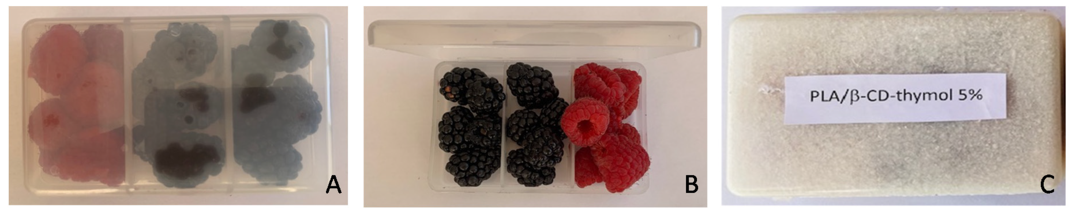 Polymers 13 01399 g001