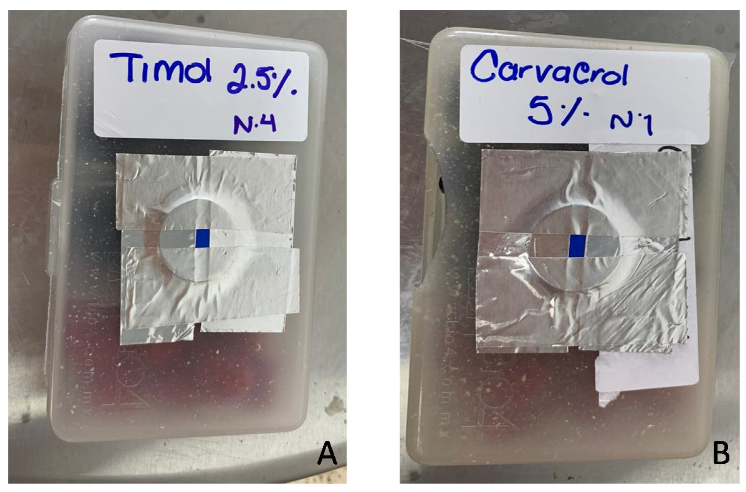 Polymers 13 01399 g002