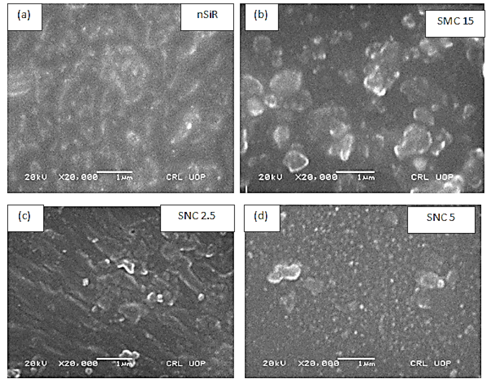 Polymers 13 01400 g002