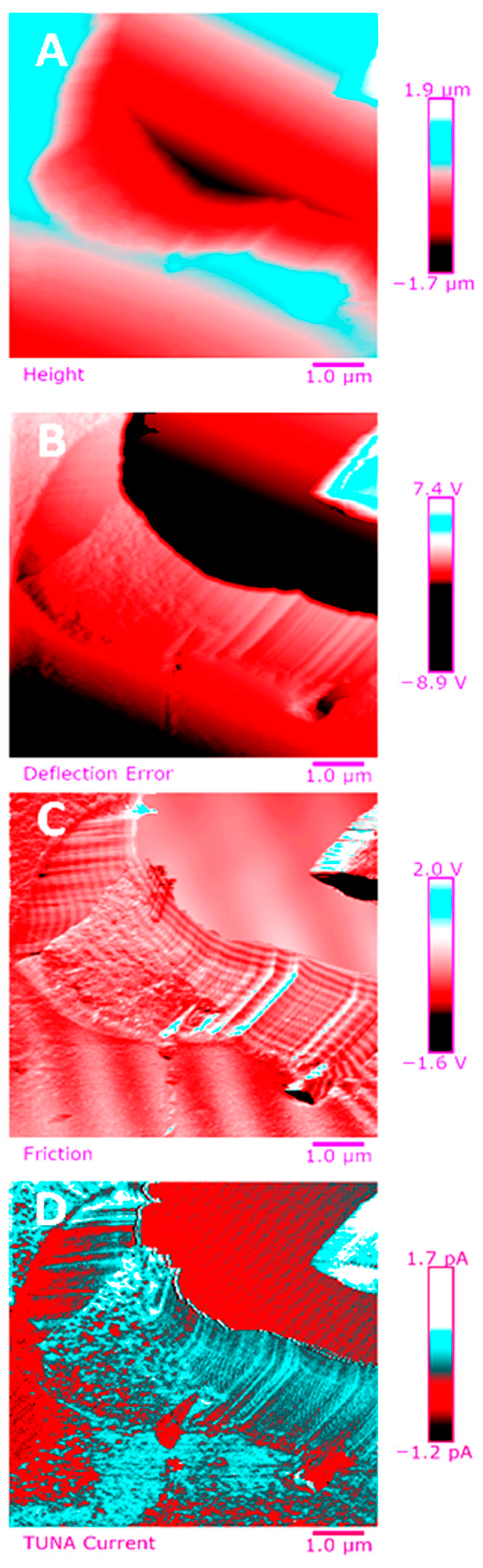 Polymers 13 01401 g014
