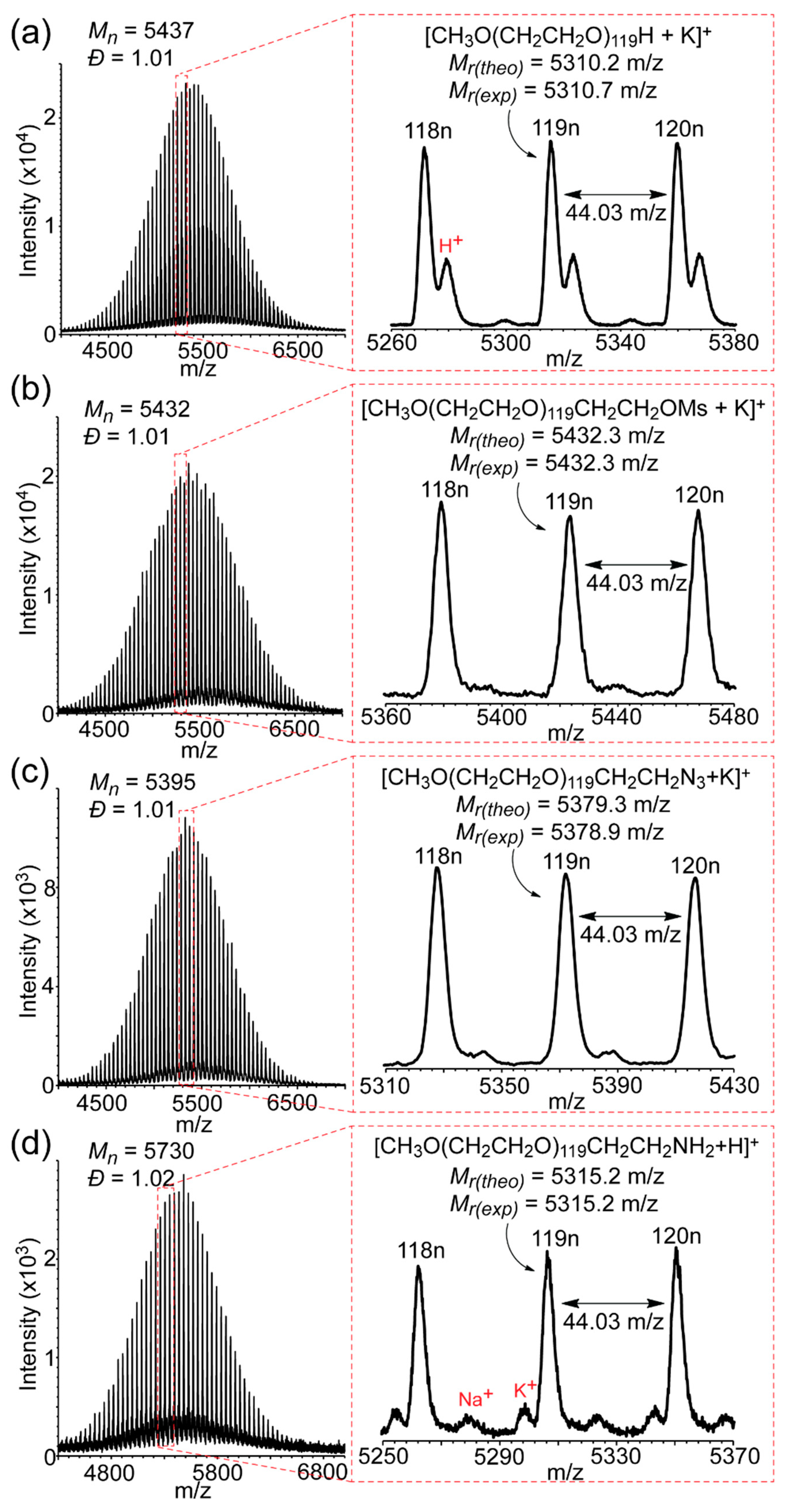 Polymers 13 01403 g002