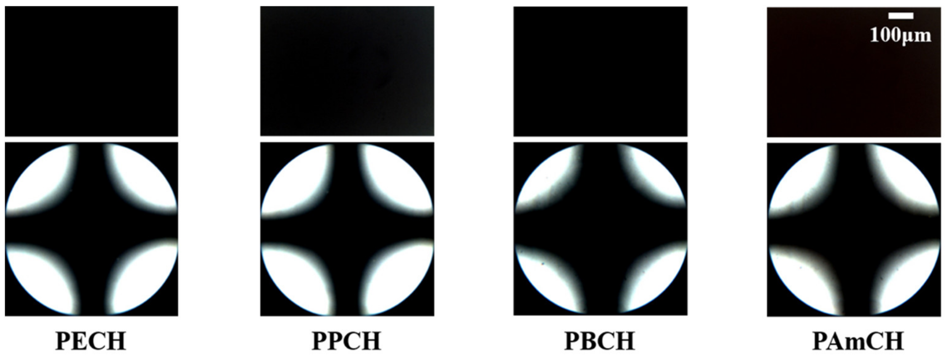 Polymers 13 01404 g004