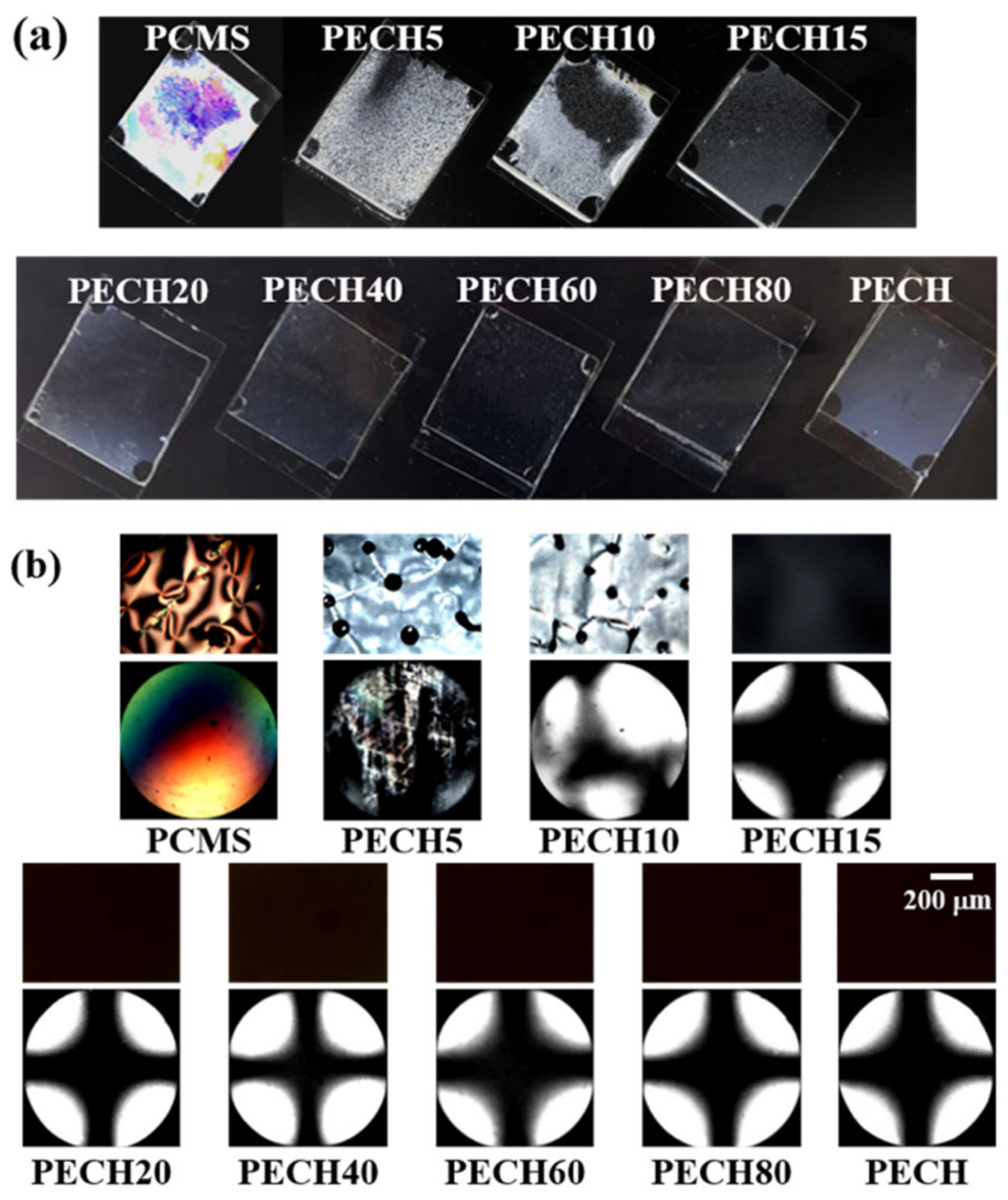 Polymers 13 01404 g005