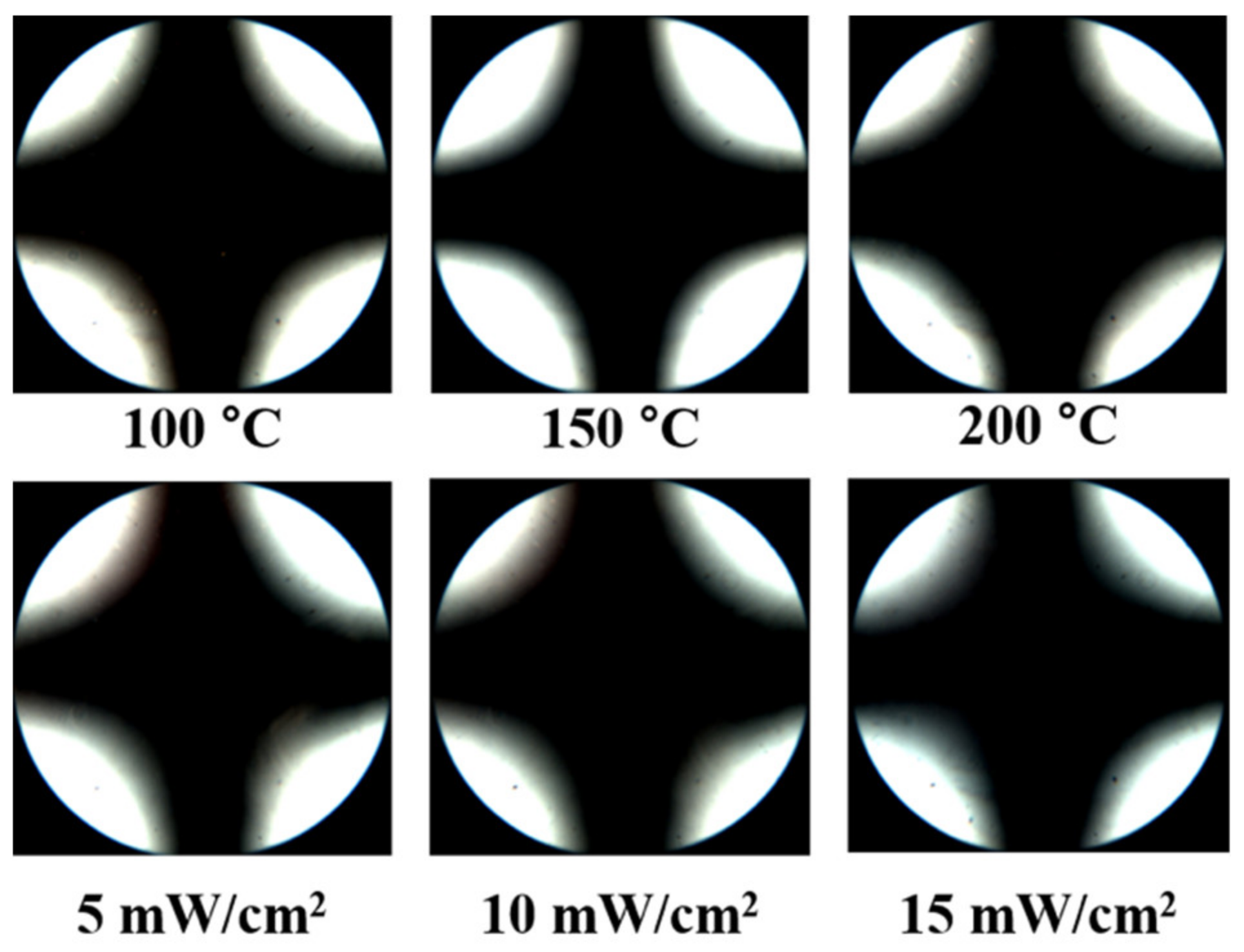 Polymers 13 01404 g007