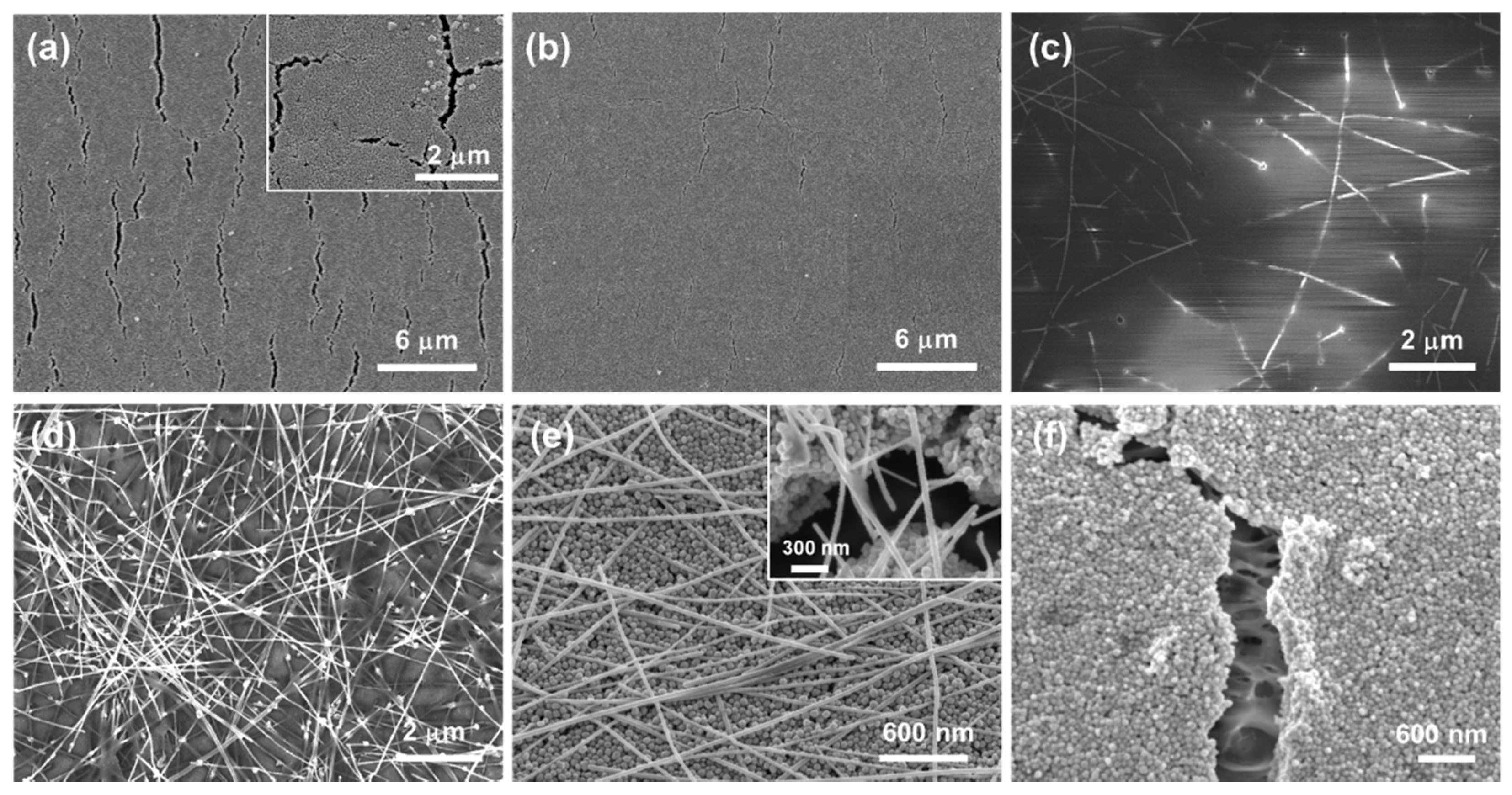 Polymers 13 01405 g004