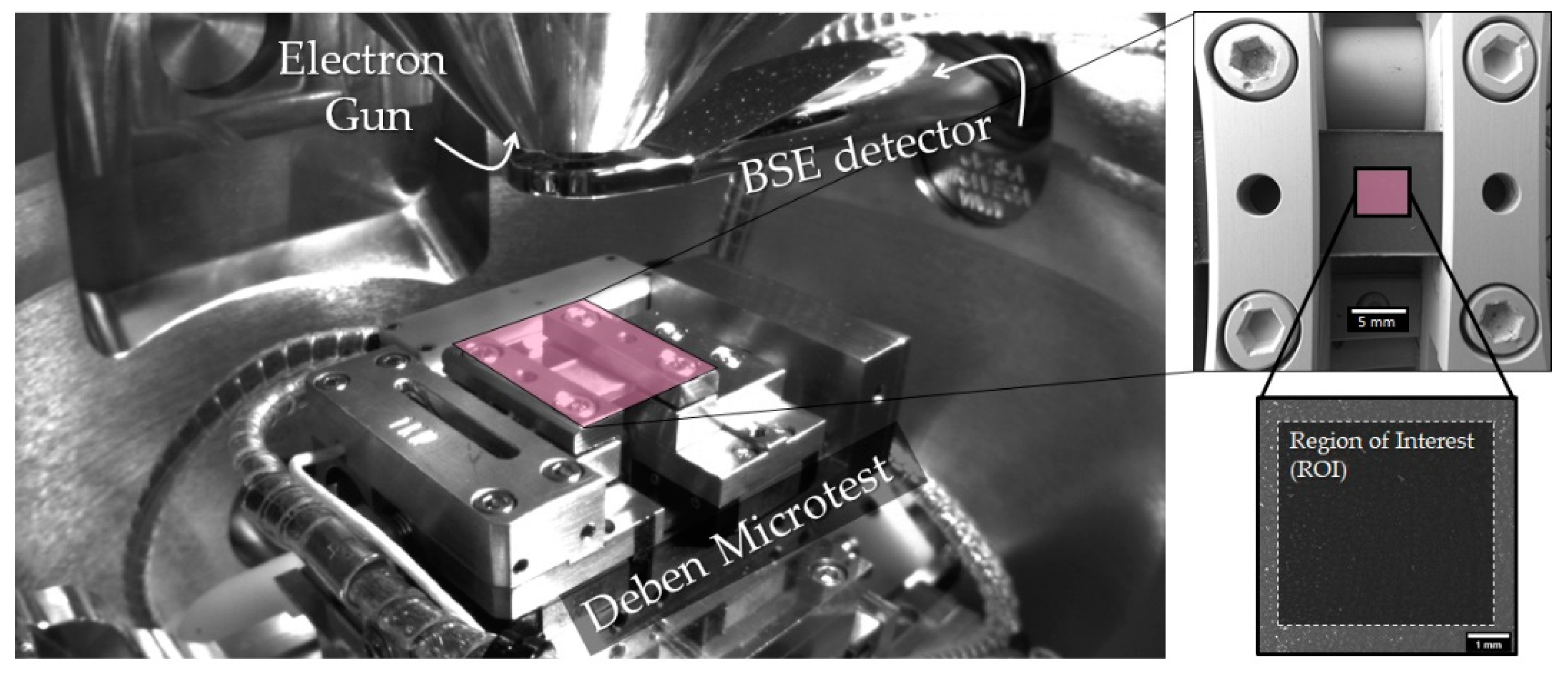 Polymers 13 01408 g004