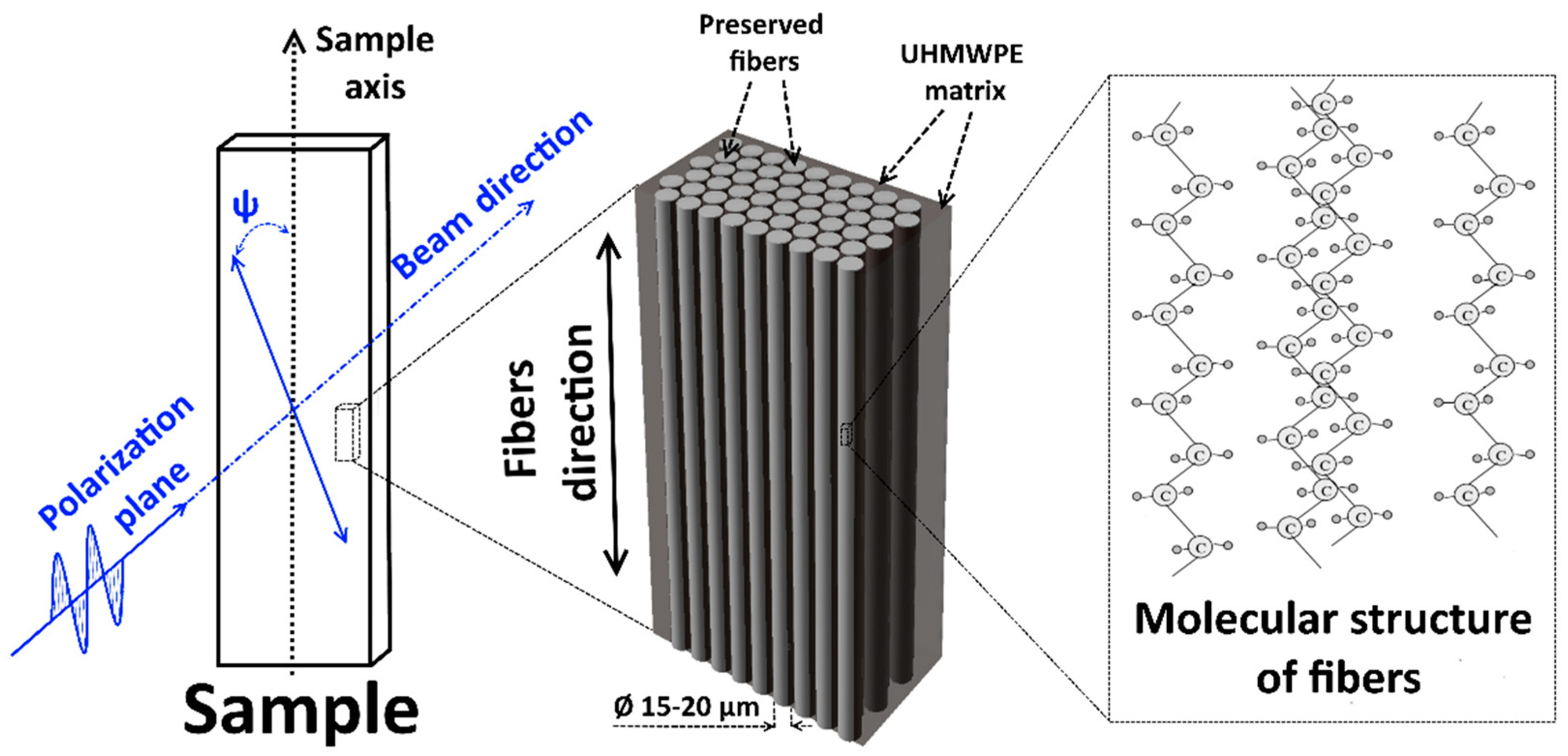 Polymers 13 01408 g005