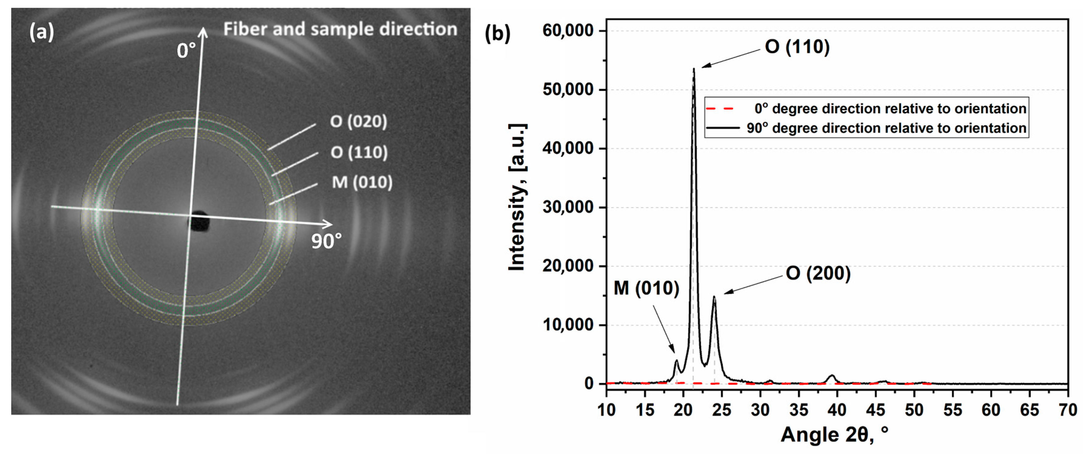 Polymers 13 01408 g007