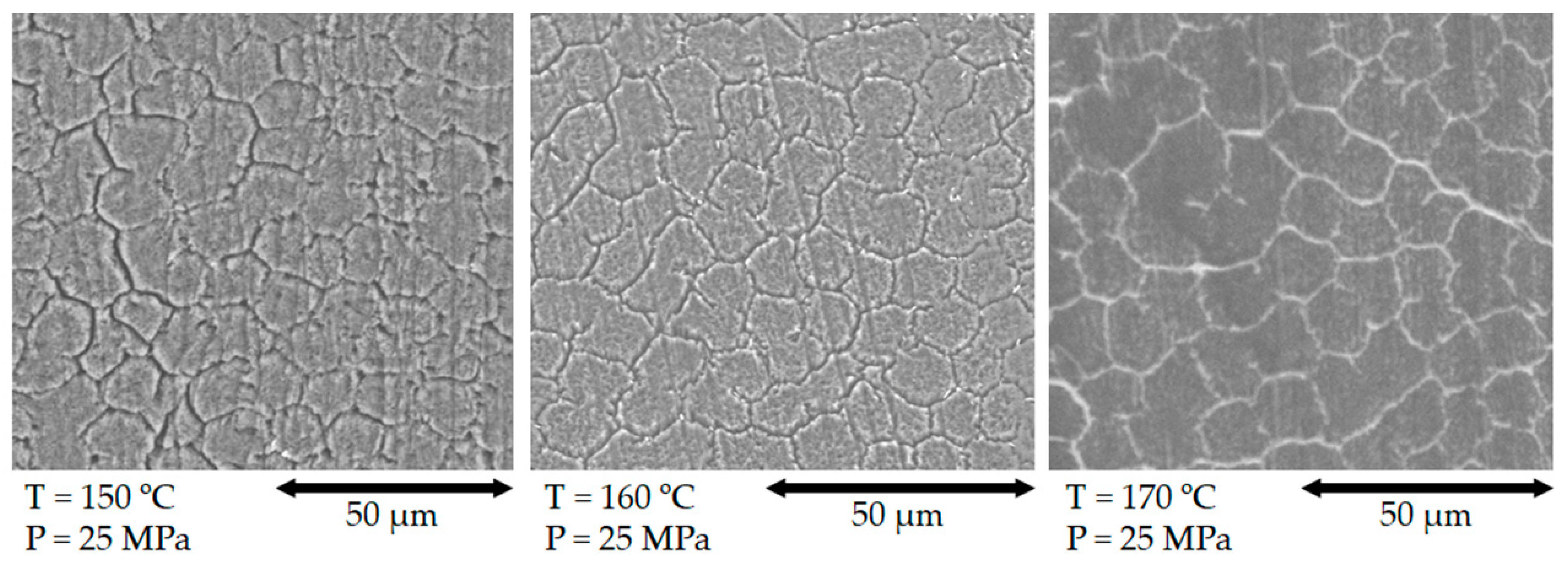 Polymers 13 01408 g011