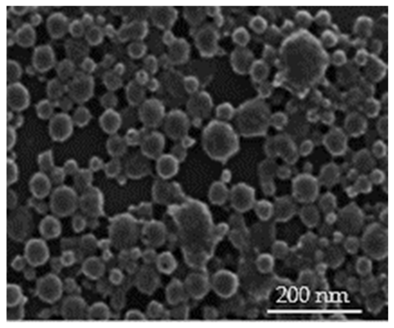 Polymers 13 01416 g001 Polymers 13 01416 g001