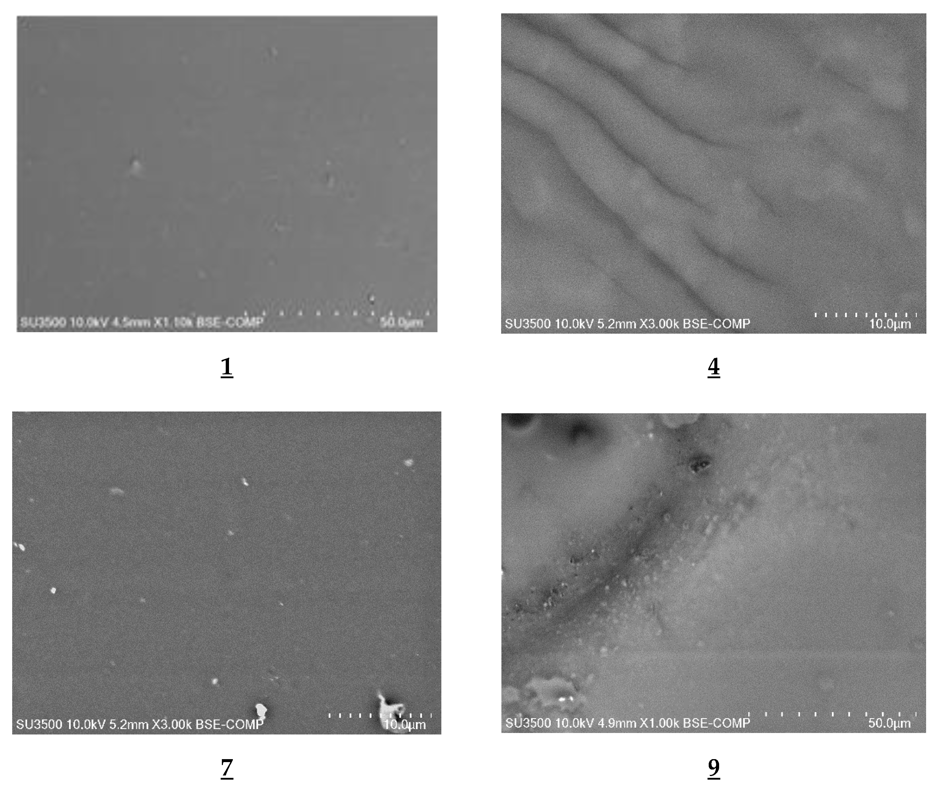 Polymers 13 01424 g003