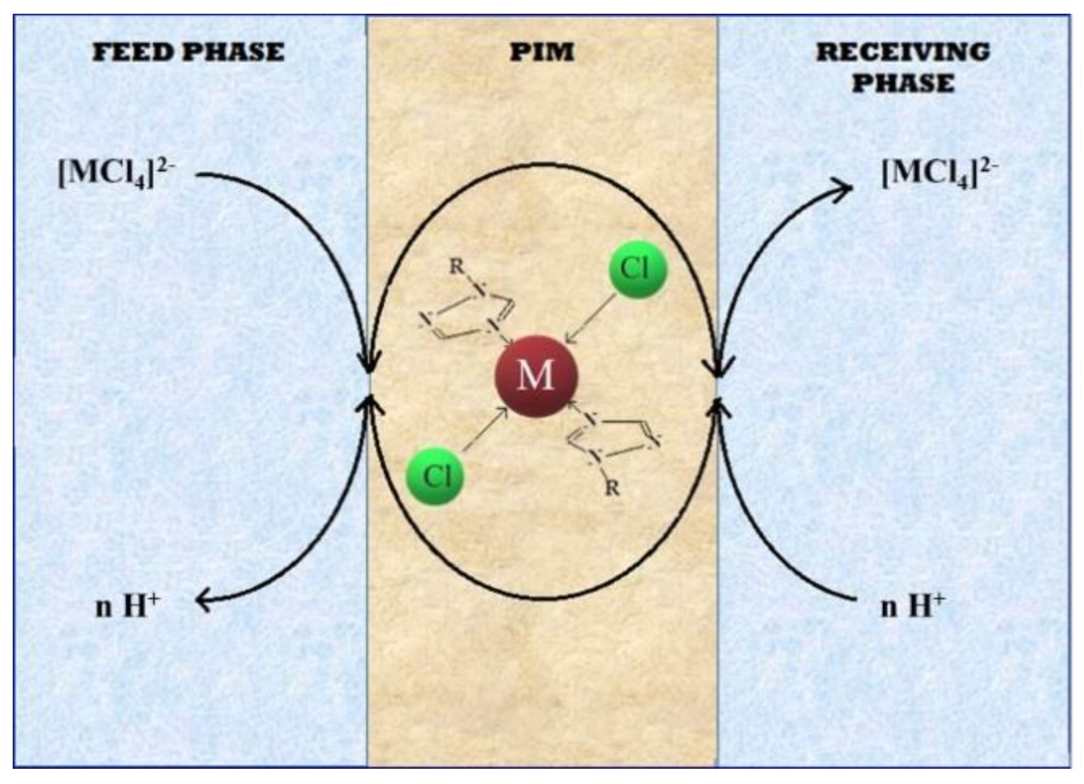 Polymers 13 01424 g004