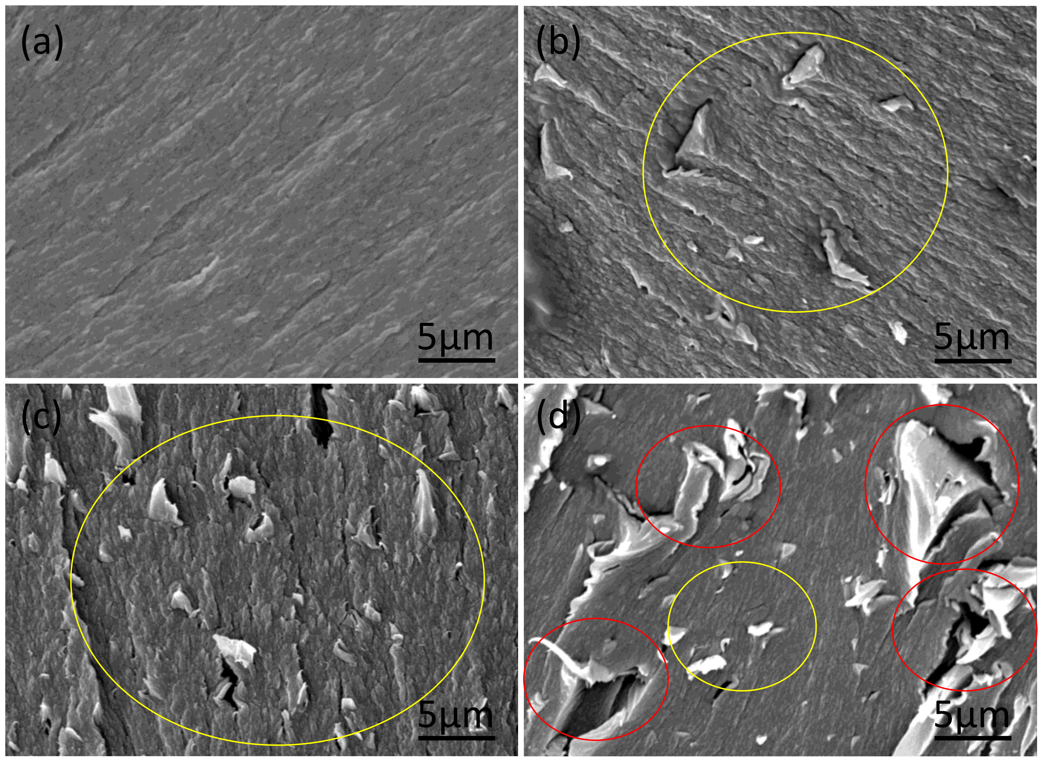 Polymers 13 01425 g002