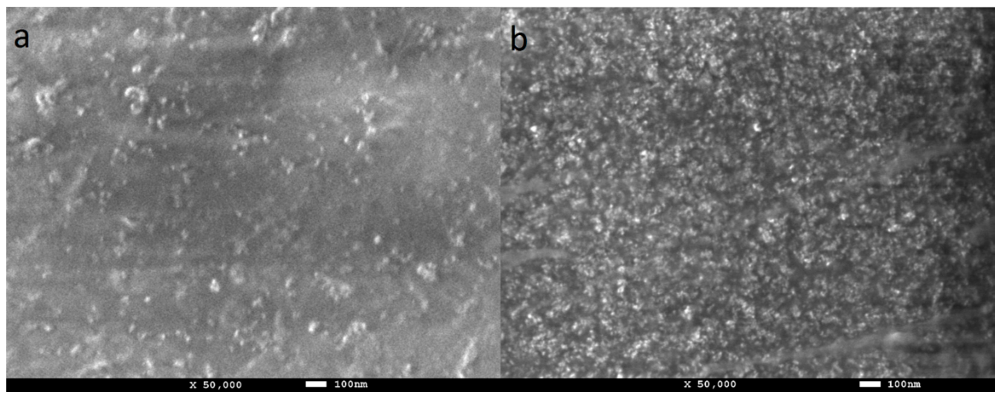 Polymers 13 01426 g006