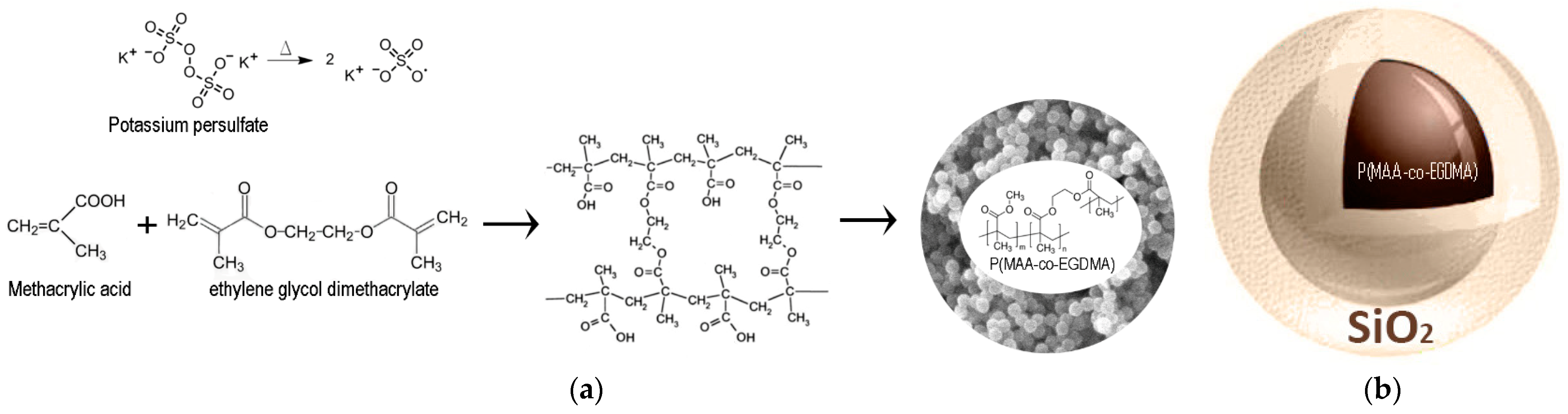 Polymers 13 01432 g001