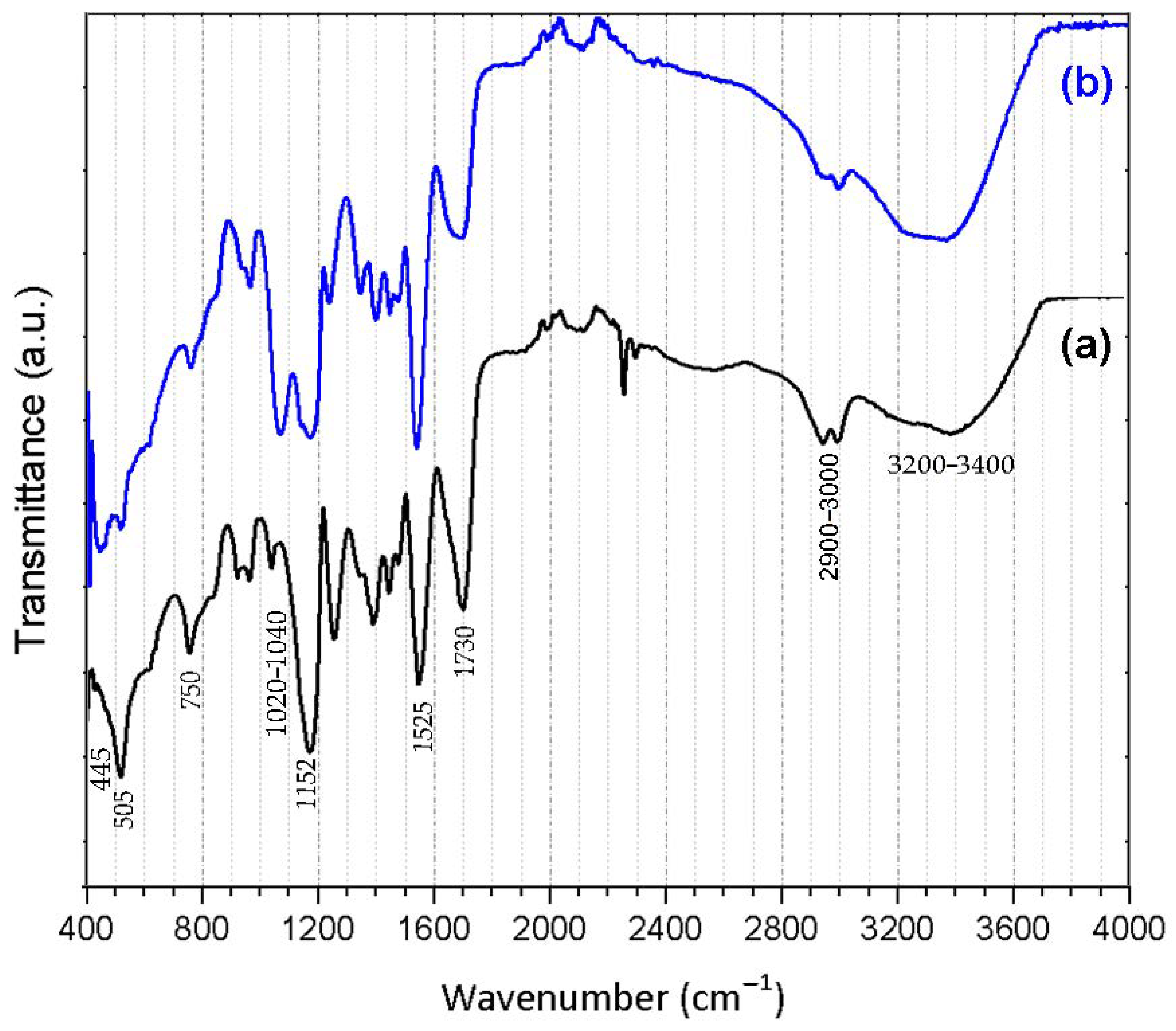 Polymers 13 01432 g004