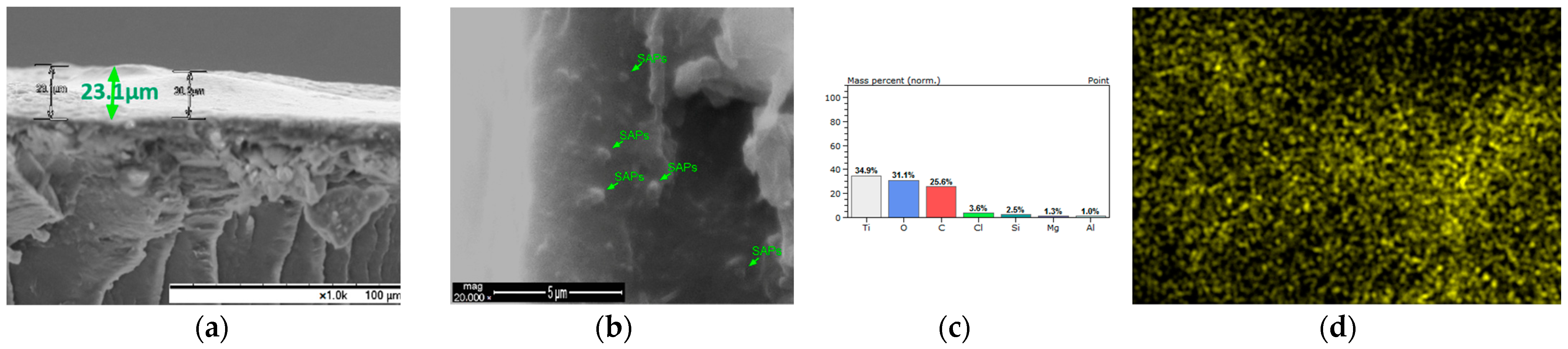 Polymers 13 01432 g010