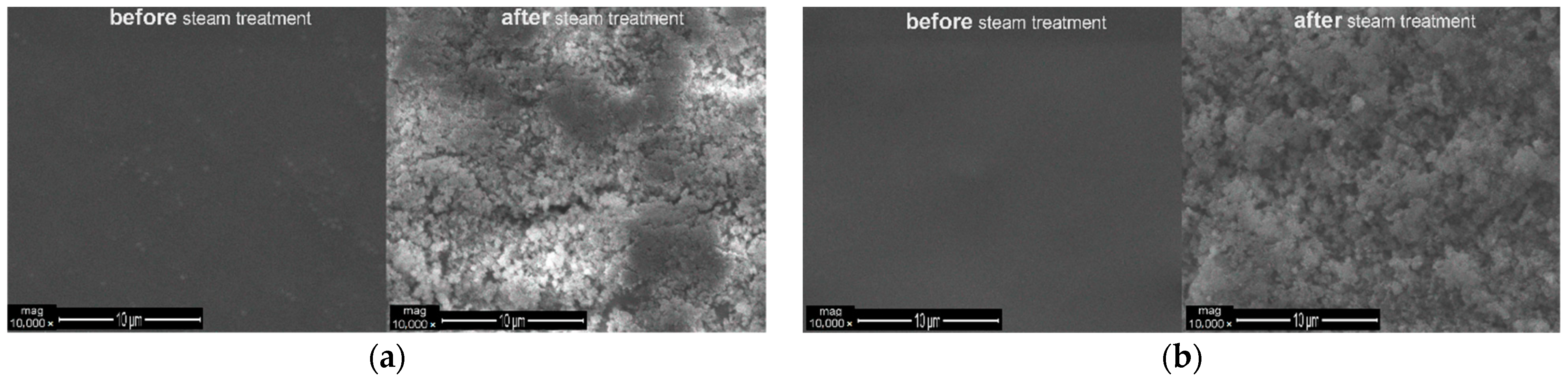 Polymers 13 01432 g013