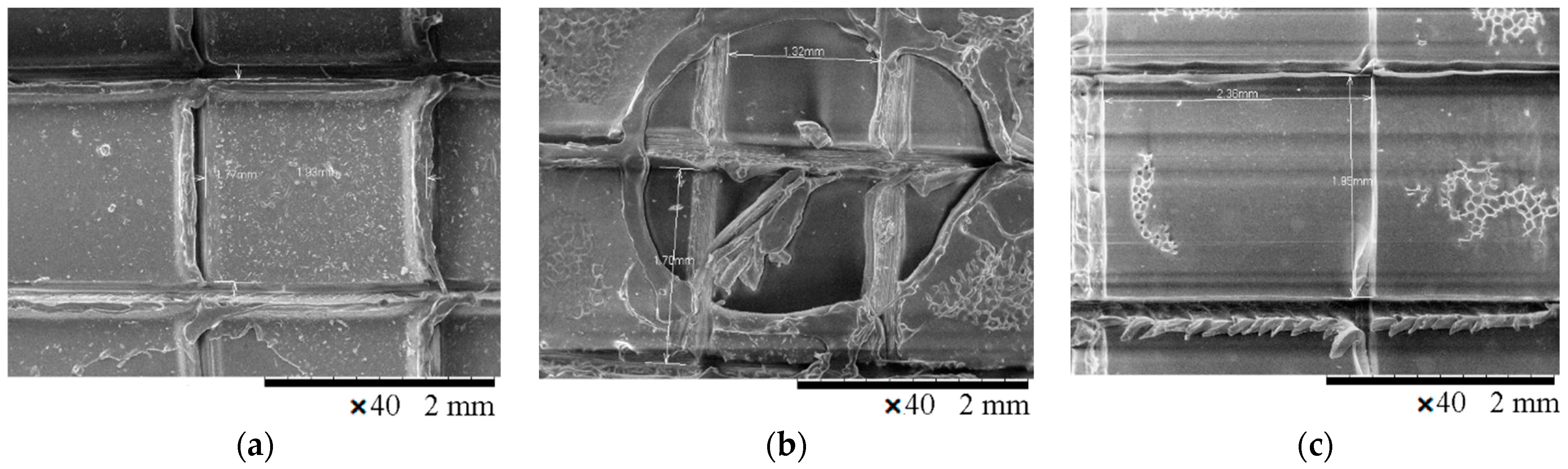 Polymers 13 01432 g014